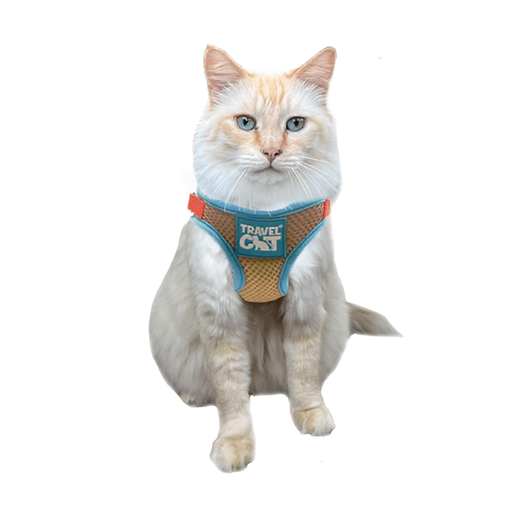 "The Popsicle Pawty" Limited Edition Cat Harness & Leash Set