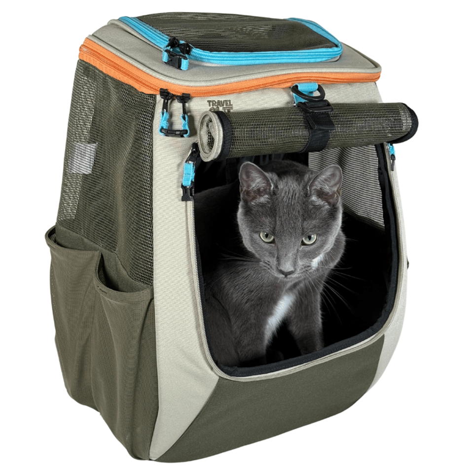 "The Navigator" Earth Convertible Cat Backpack - For Adventurous Cats and Humans