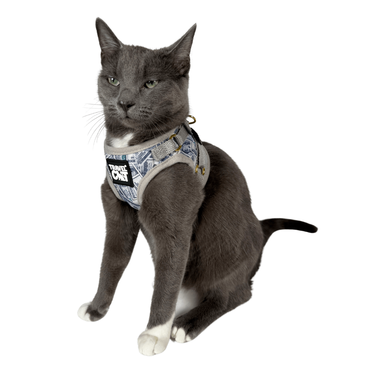 "Cash Cat" Limited Edition Harness & Leash Set