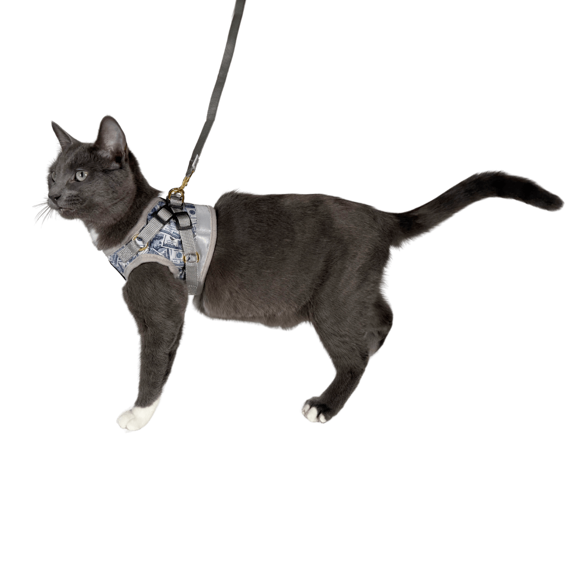 "Cash Cat" Limited Edition Harness & Leash Set