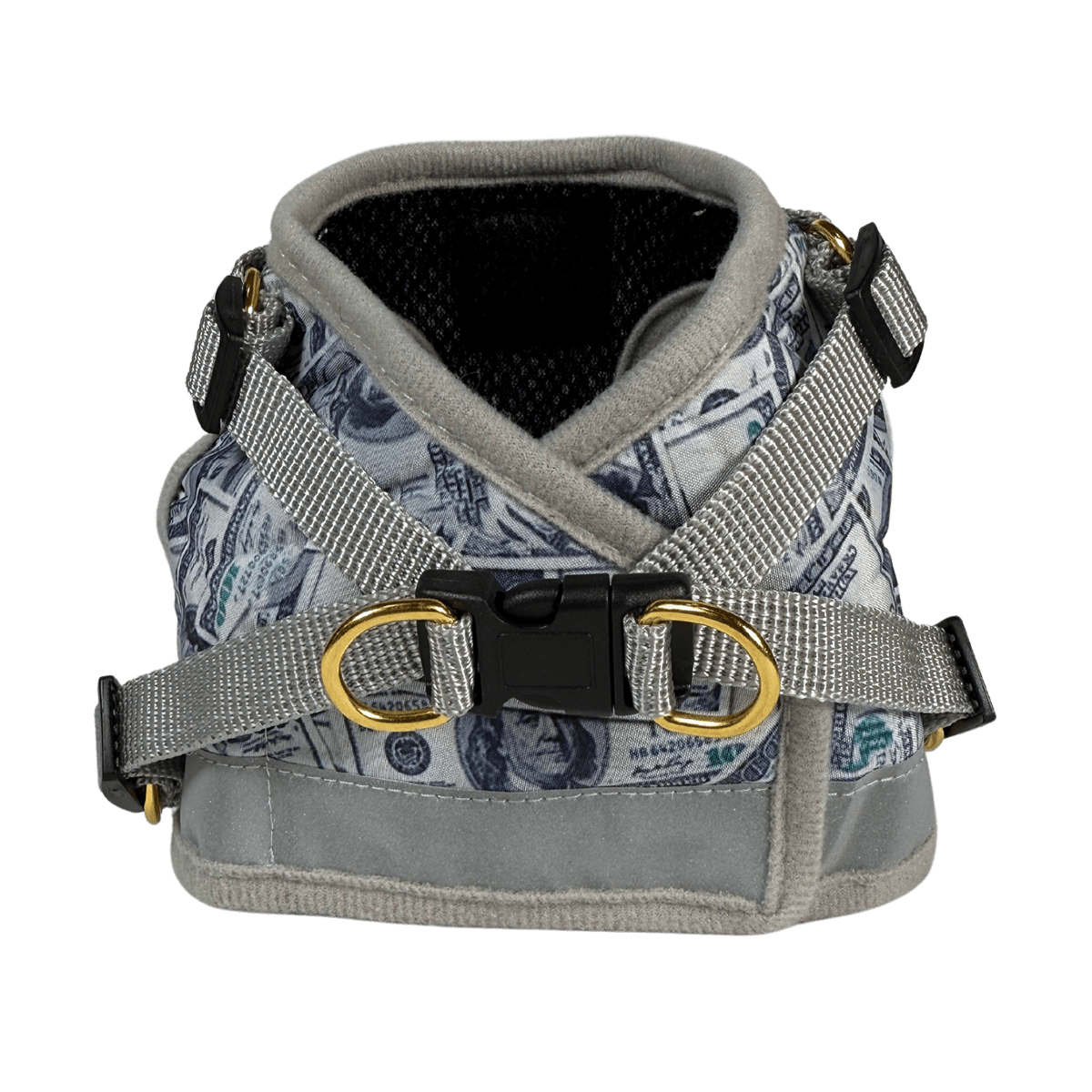 "The True Adventurer" Reflective Cat & Kitten Harness and Leash