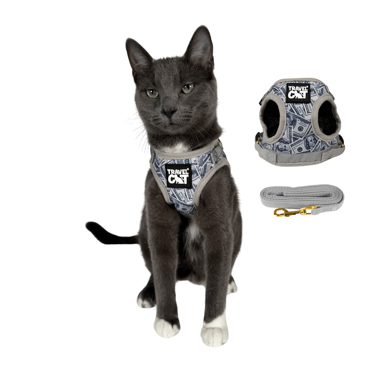 "Cash Cat" Limited Edition Harness & Leash Set