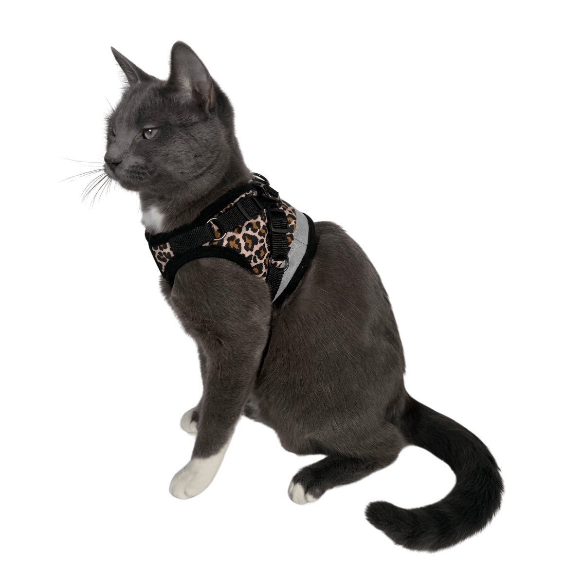 "The True Adventurer" Reflective Cat & Kitten Harness and Leash