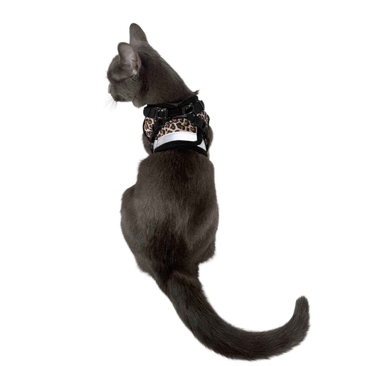 "The True Adventurer" Reflective Cat & Kitten Harness and Leash