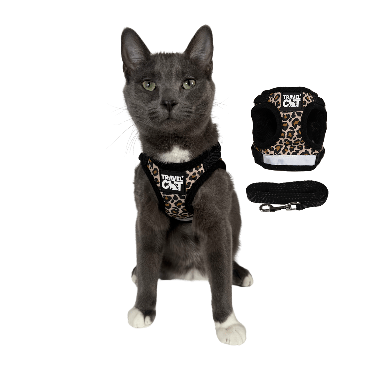 "The Cheeky Cheetah" Limited Edition Cheetah Print Cat Harness