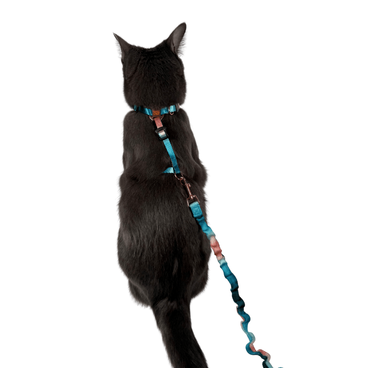 "The Day Tripper" Perfect Adjustable H-Style Cat Harness & Bungee Leash Set - Watercolor