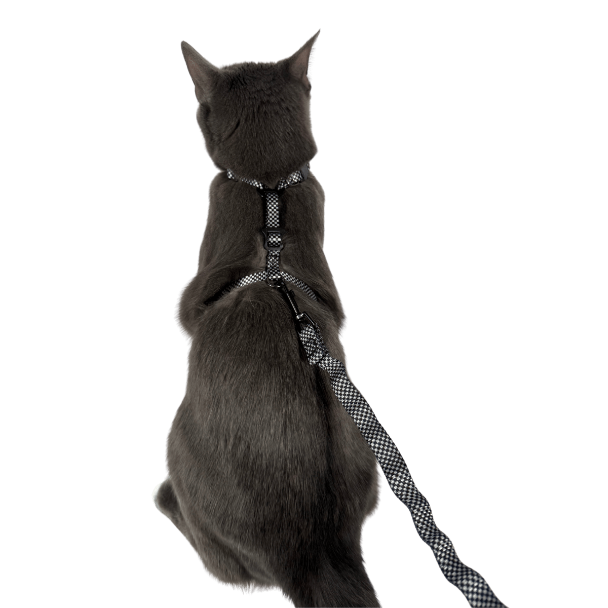 "The Day Tripper" Perfect Adjustable H-Style Cat Harness & Bungee Leash Set - Checkered