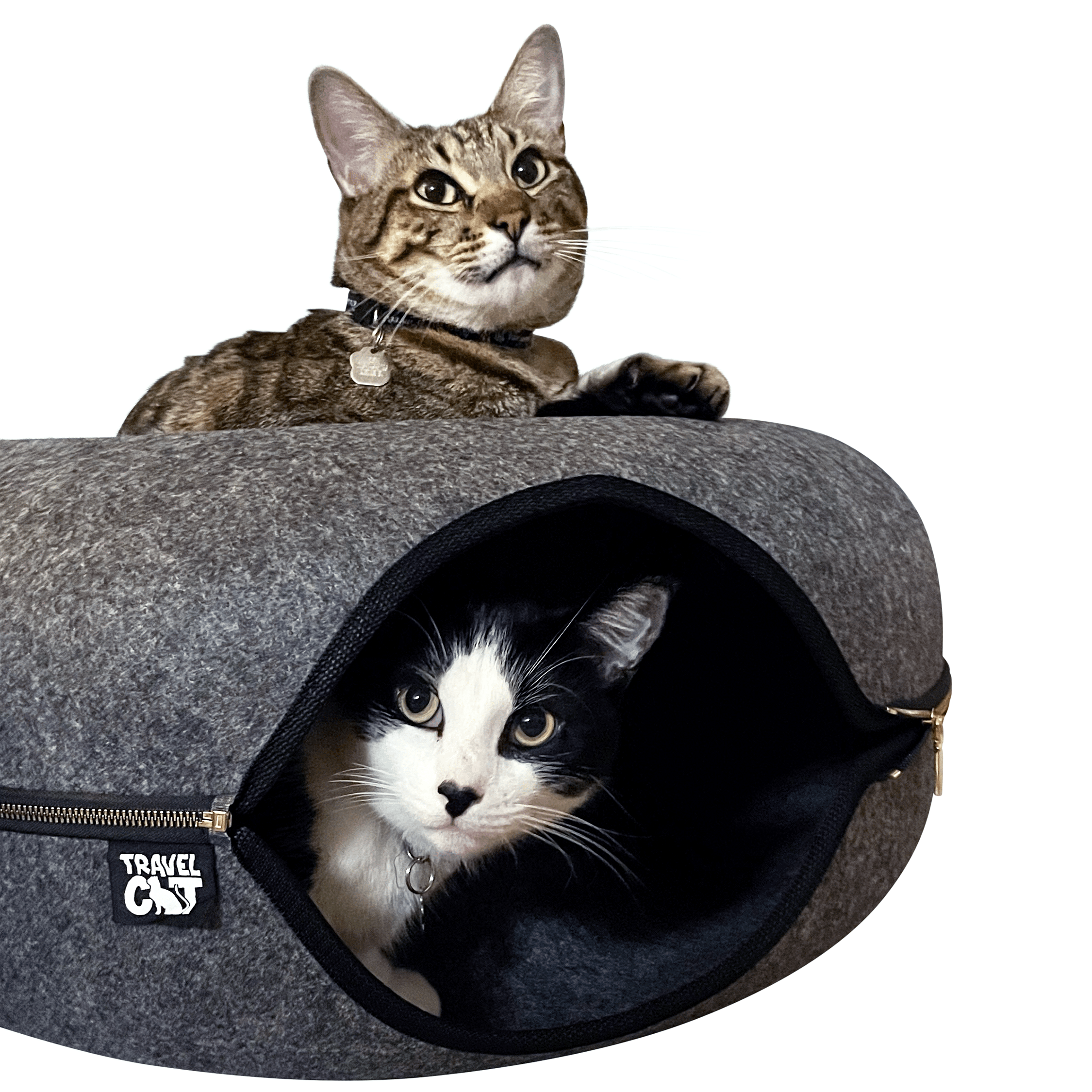 "The Cozy AF" Cat Bed Bundle