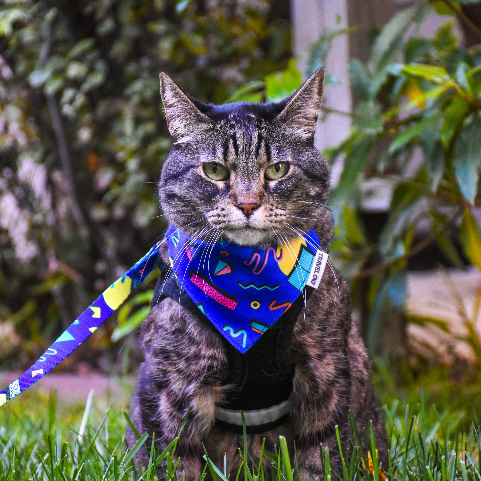 "The 90s Cat" Bandana & Collar