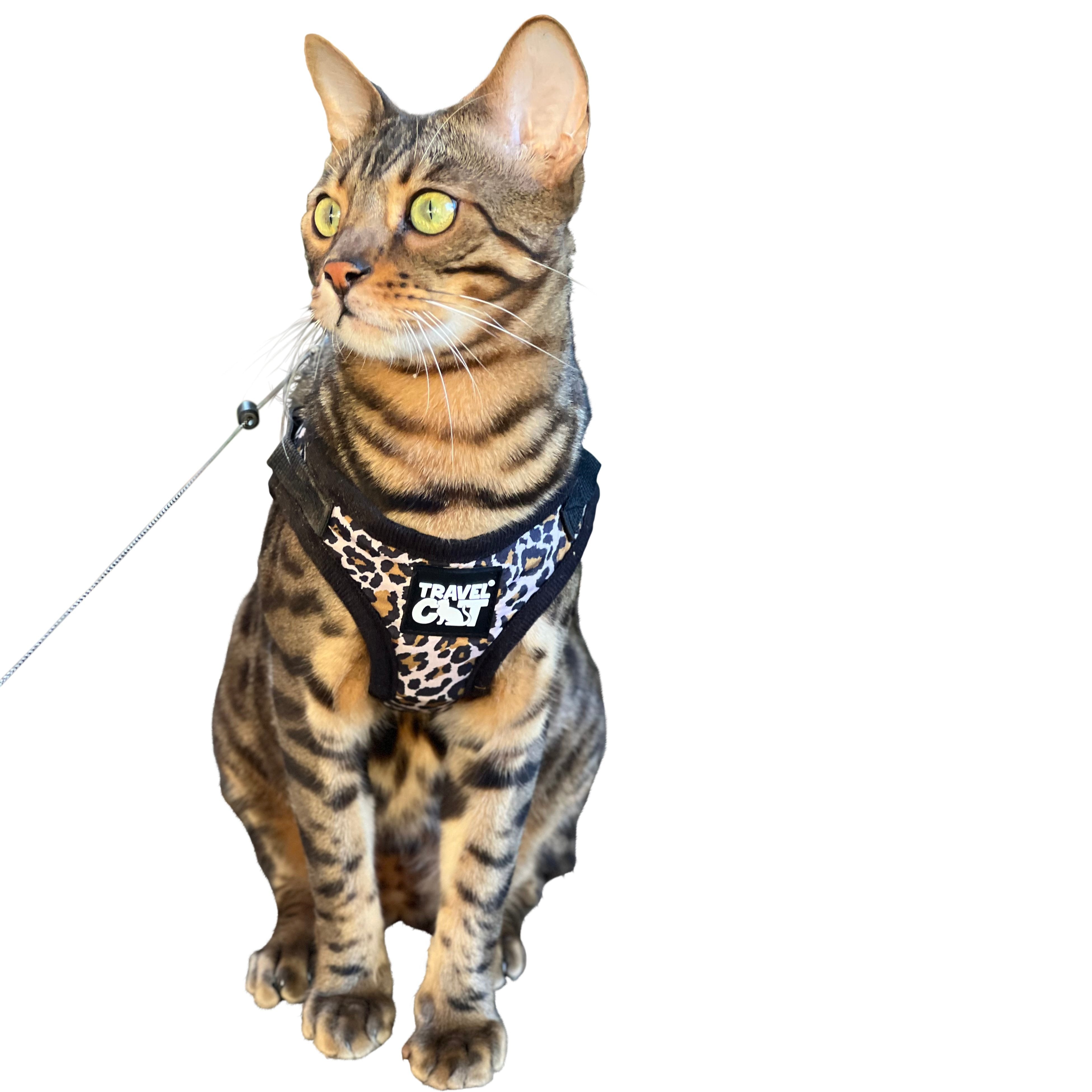 "The Cheeky Cheetah" Limited Edition Cheetah Print Cat Harness