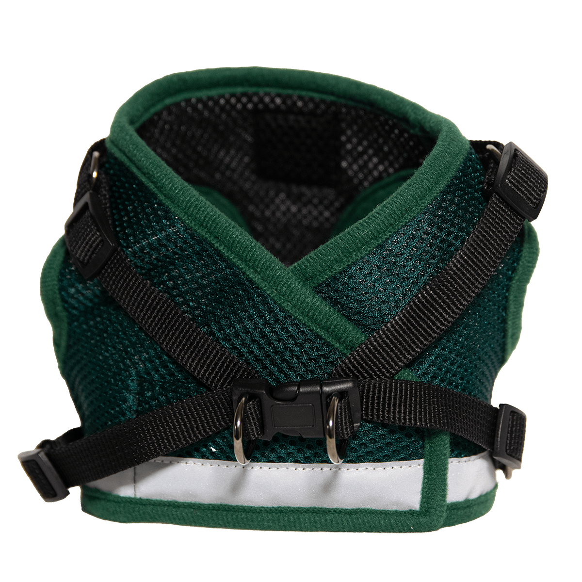 #Color_The Emerald Explorer