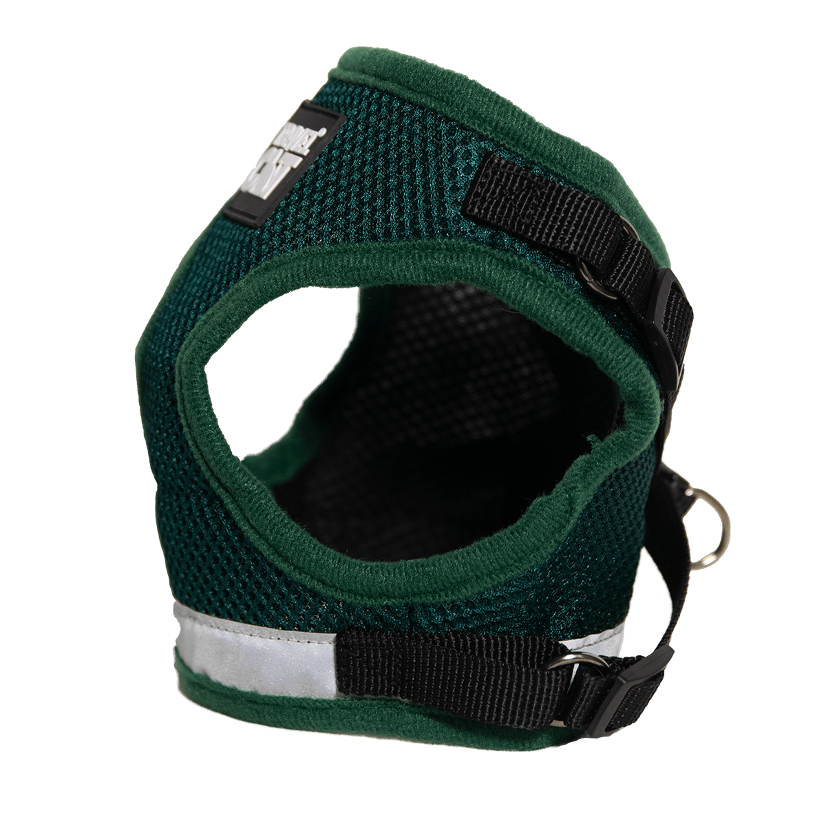 #Color_The Emerald Explorer