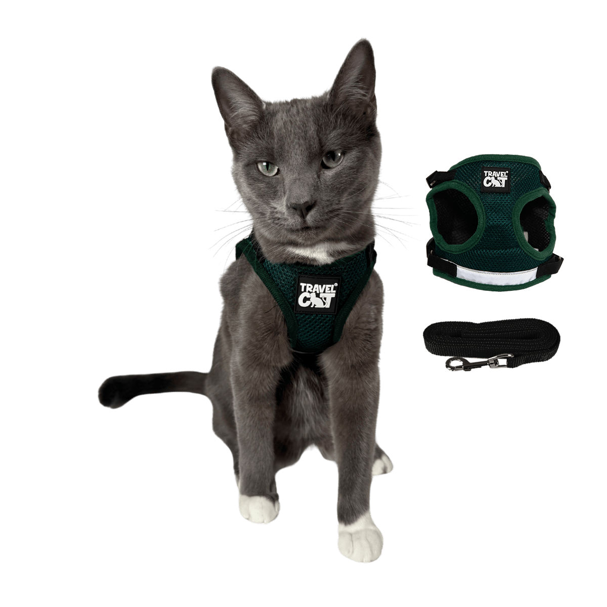 "The Emerald Explorer" Limited Edition Green Cat Harness