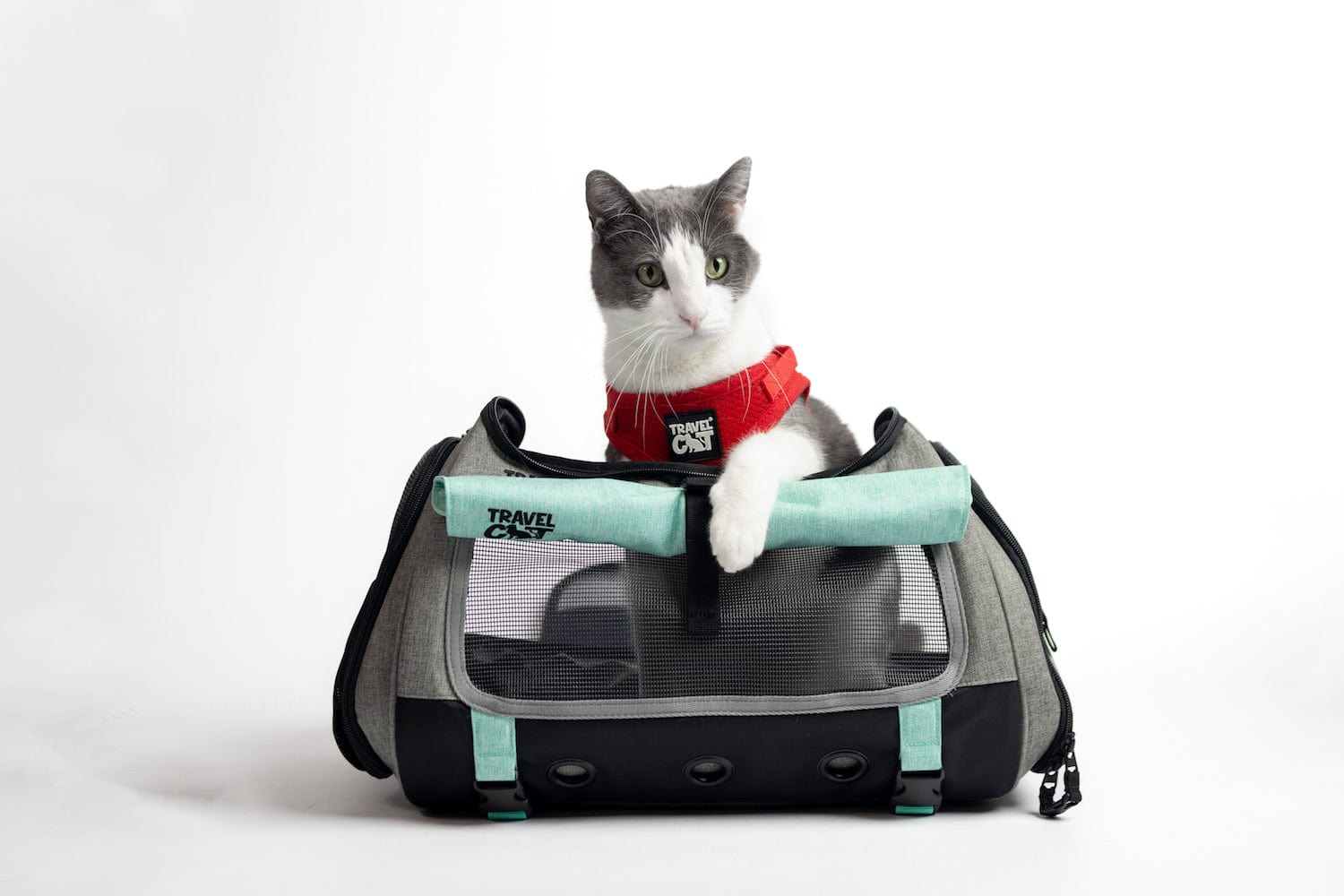 Your Cat Backpack by Travel Cat - The #1 Cat Travel Brand in the World