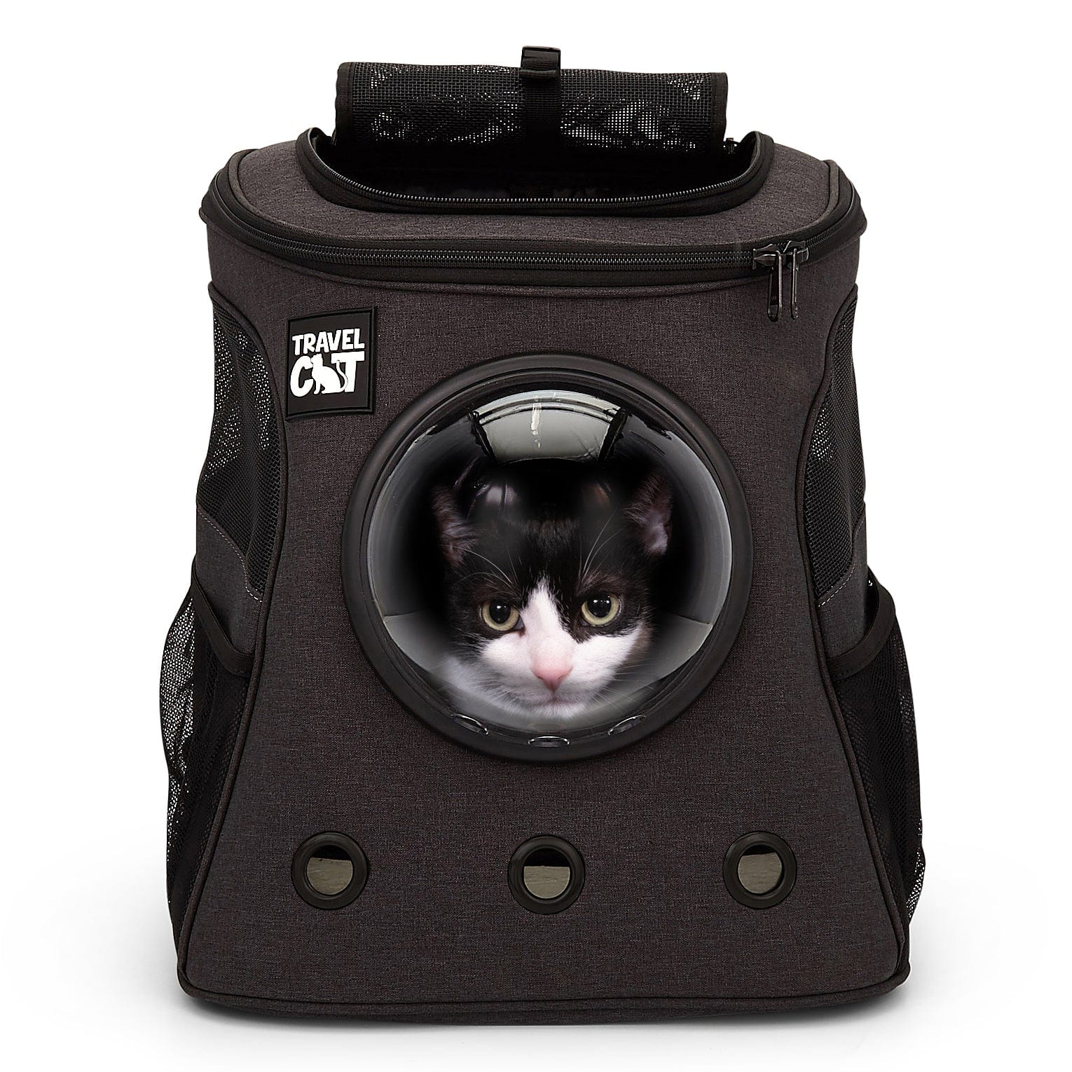 Large cat backpack carrier online