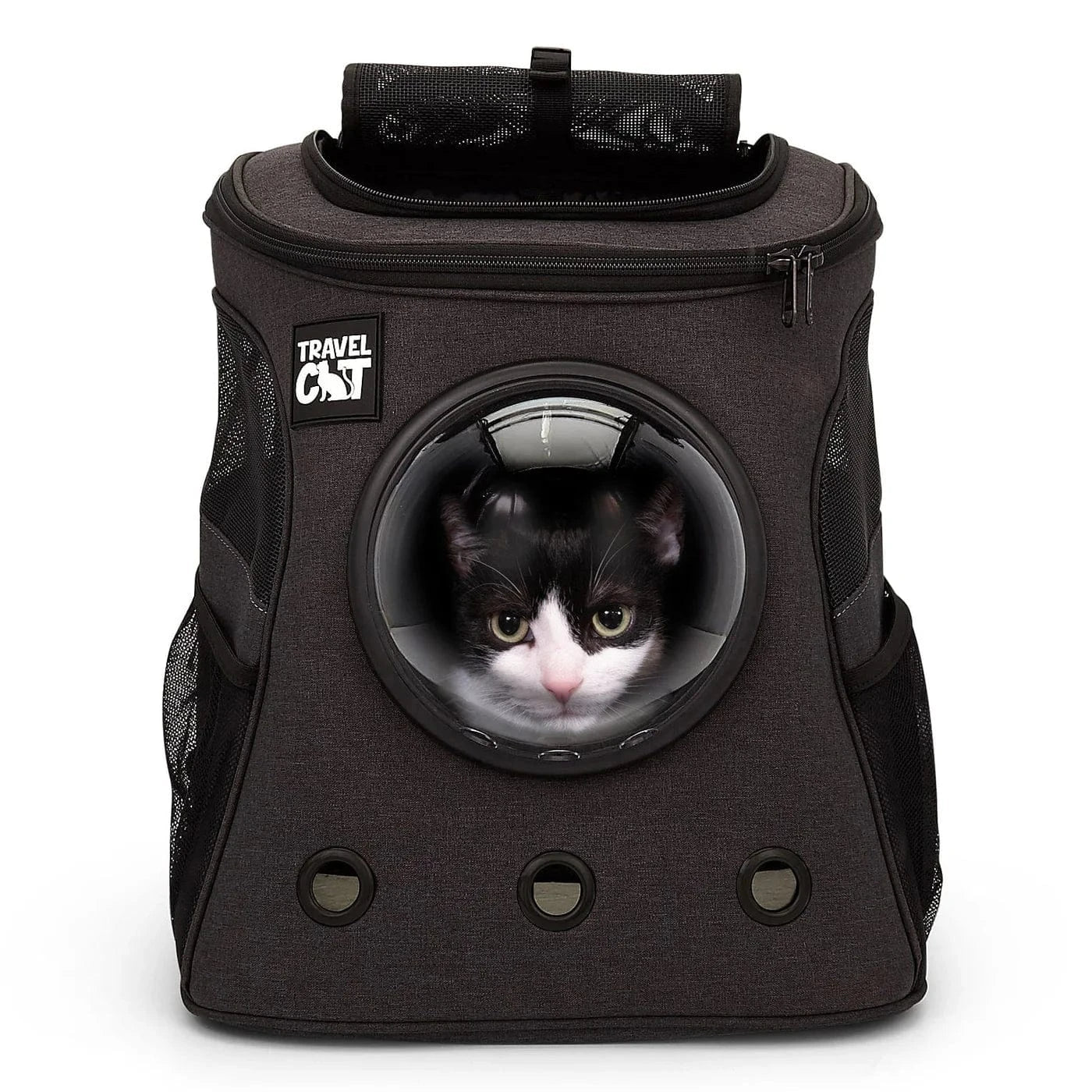 FatCatxCostco1.webp?v= FatCatxCostco1.webp?v=