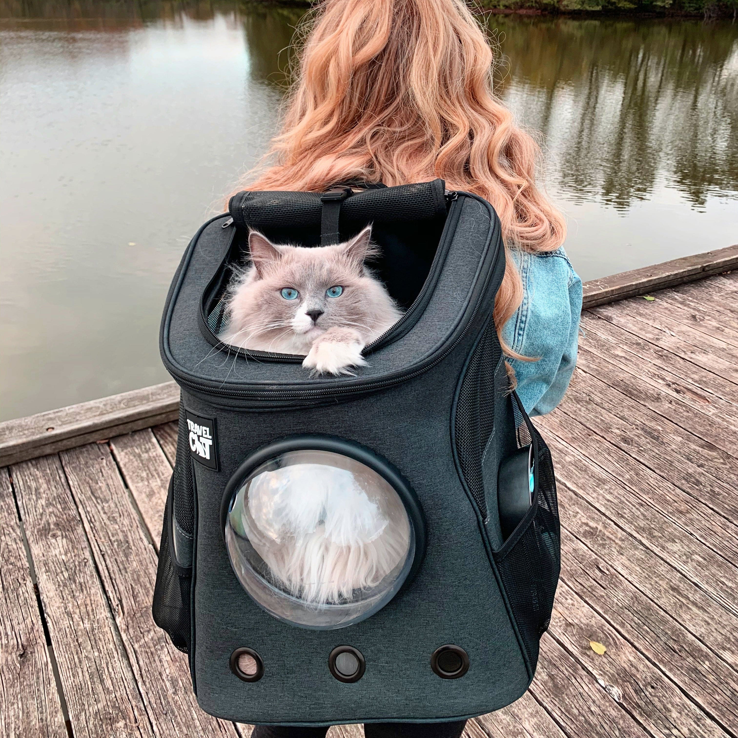 Large cat backpack carrier on sale