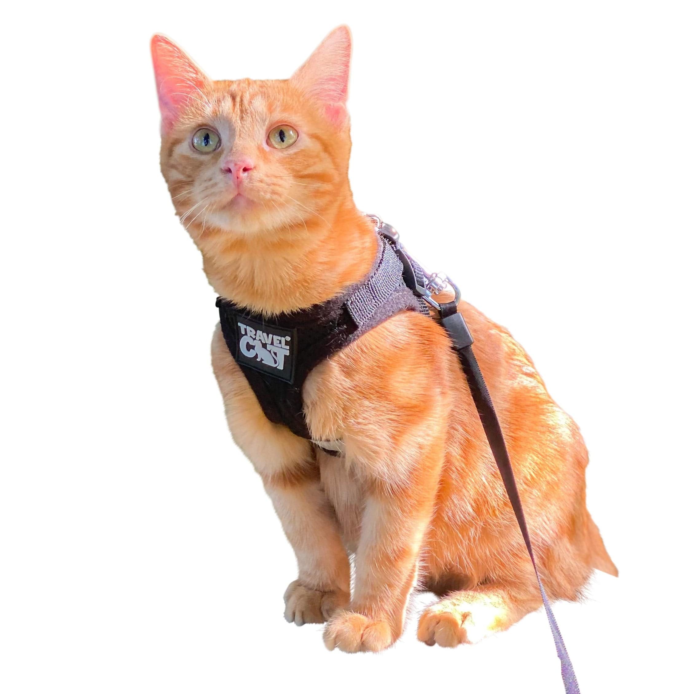 The True Adventurer Reflective Cat Kitten Harness and Leash