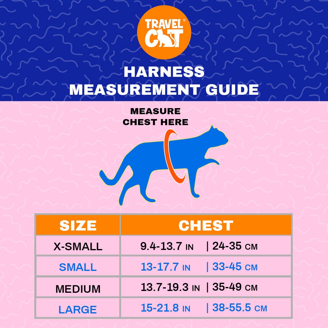 Desert Sky Explorer Bundle