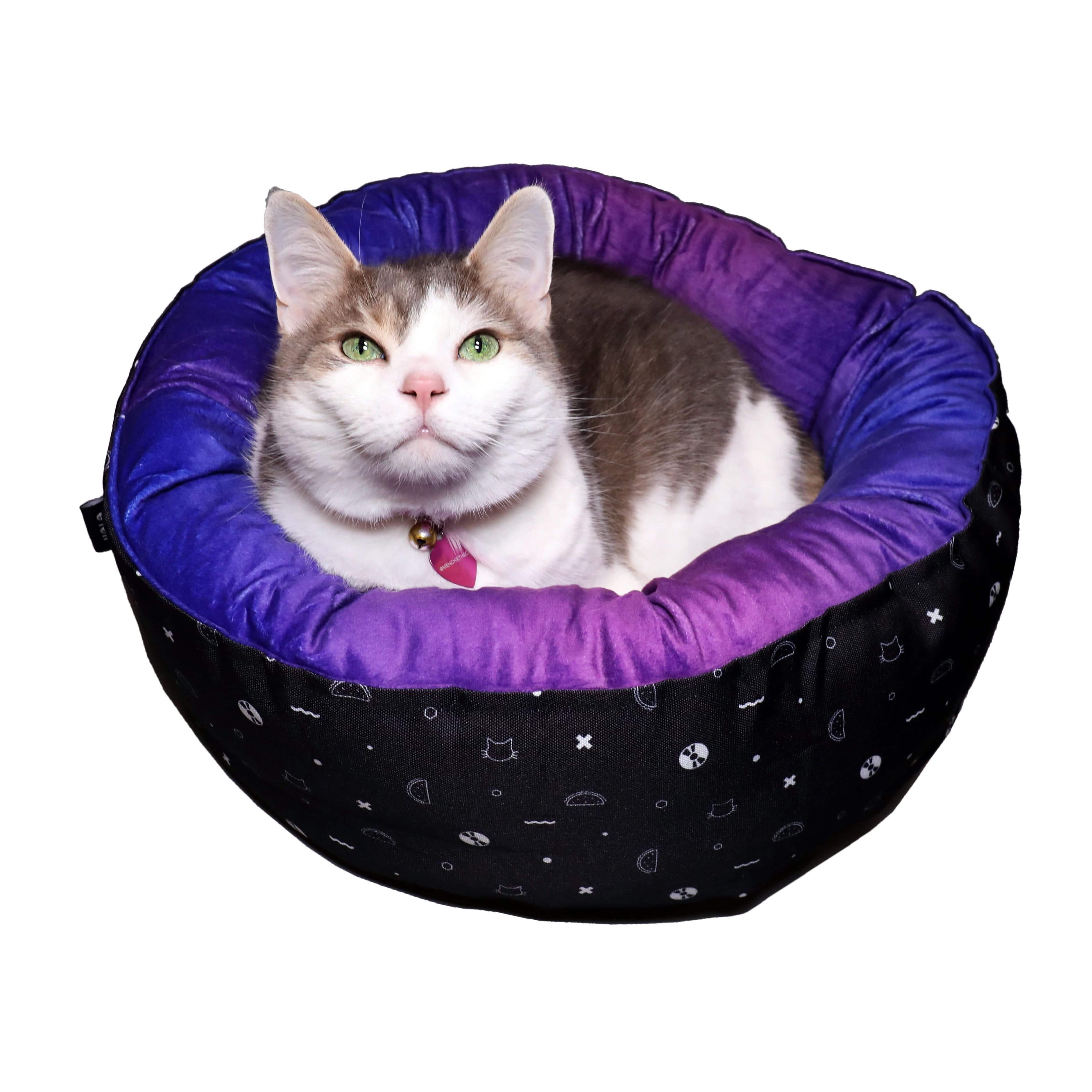 Black cat best sale cat bed