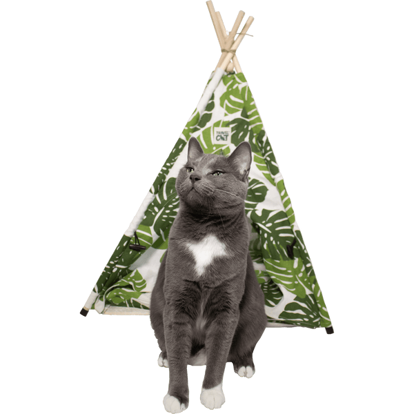 Travel Cat Monstera Cat Tent Bed