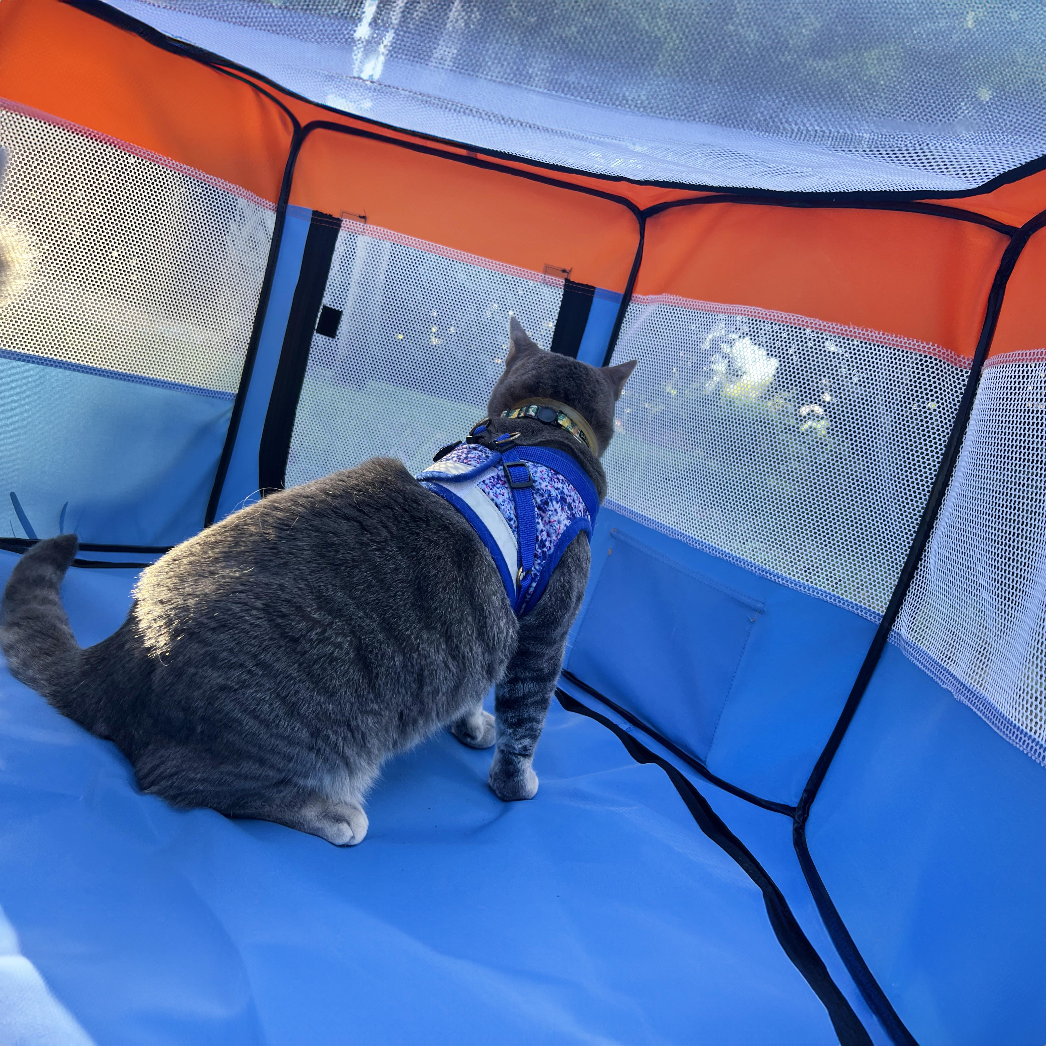 Portable cat clearance house