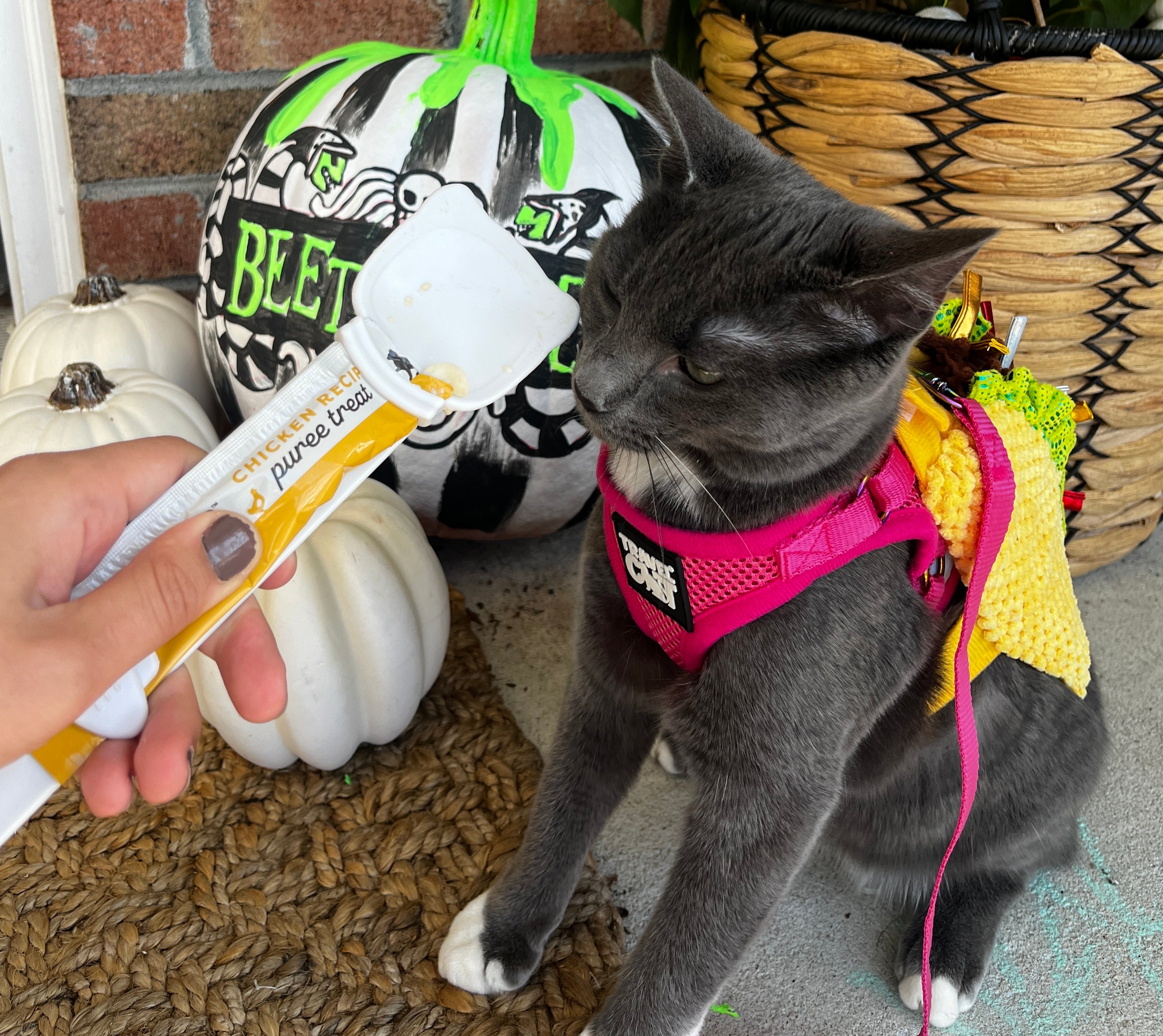 "The Pawpsicle" Treat Spoon