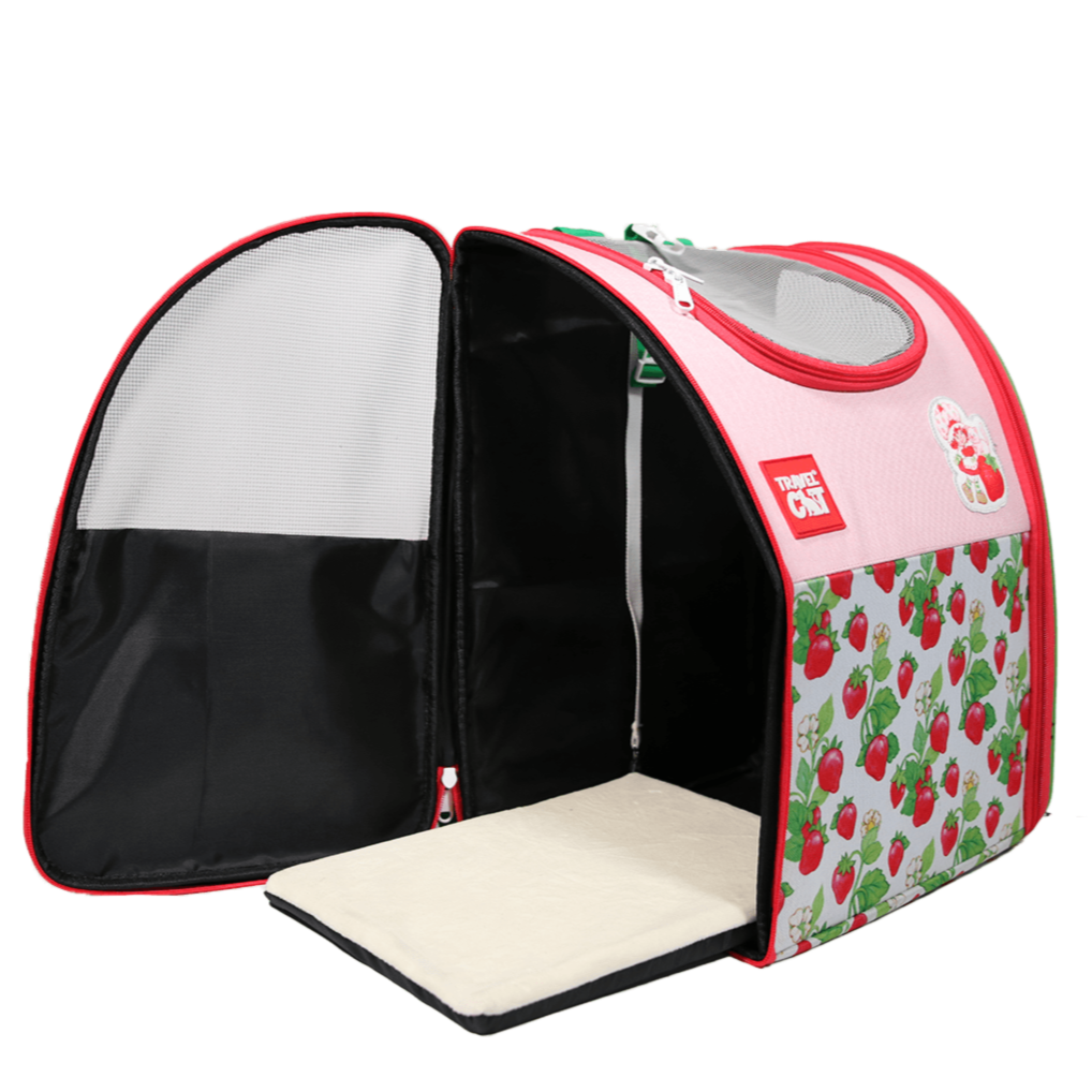 Strawberry Shortcake x Travel Cat  Bundle - Officially Licensed
