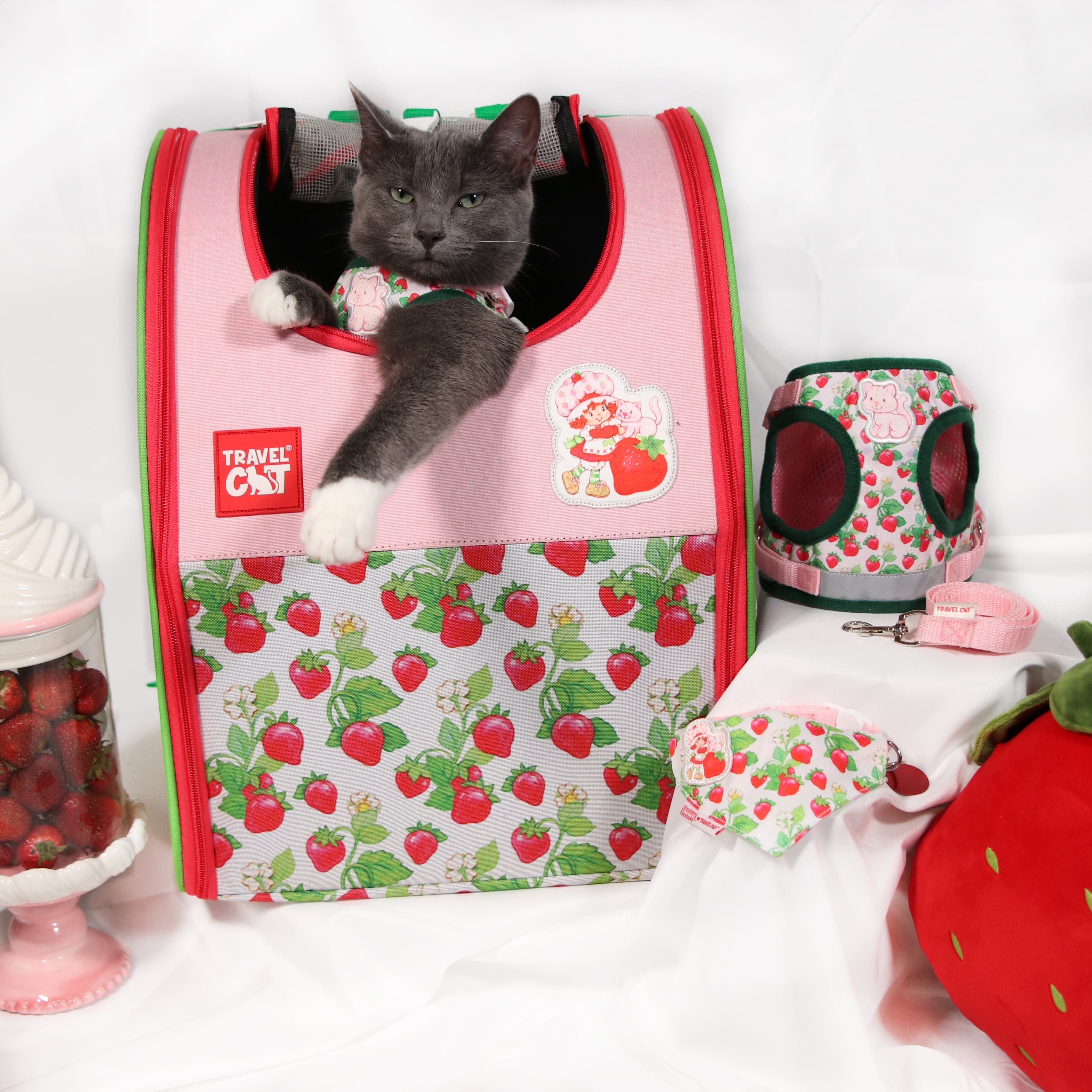 Strawberry Shortcake x Travel Cat Bundle