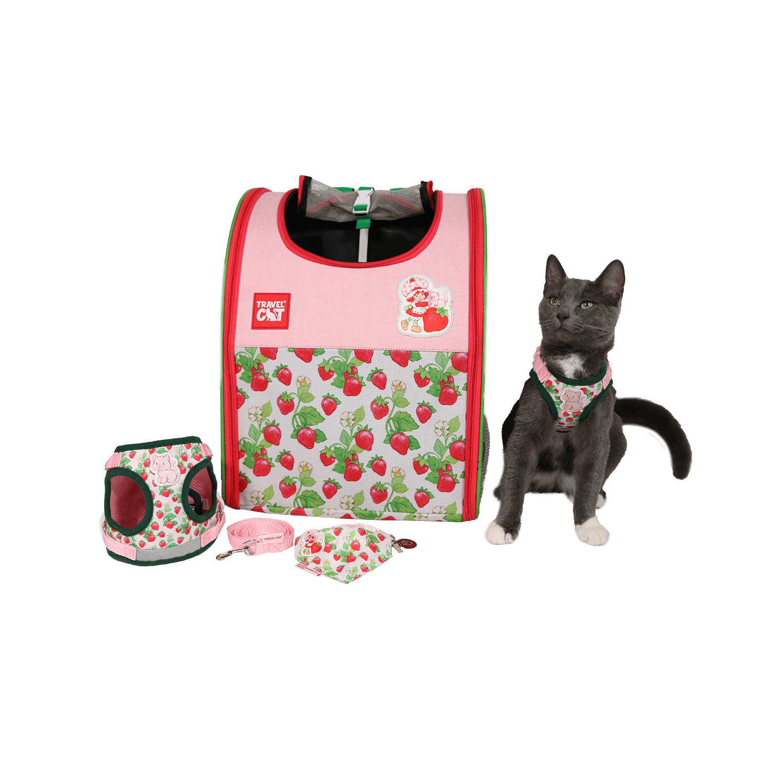 Strawberry Shortcake x Travel Cat Bundle