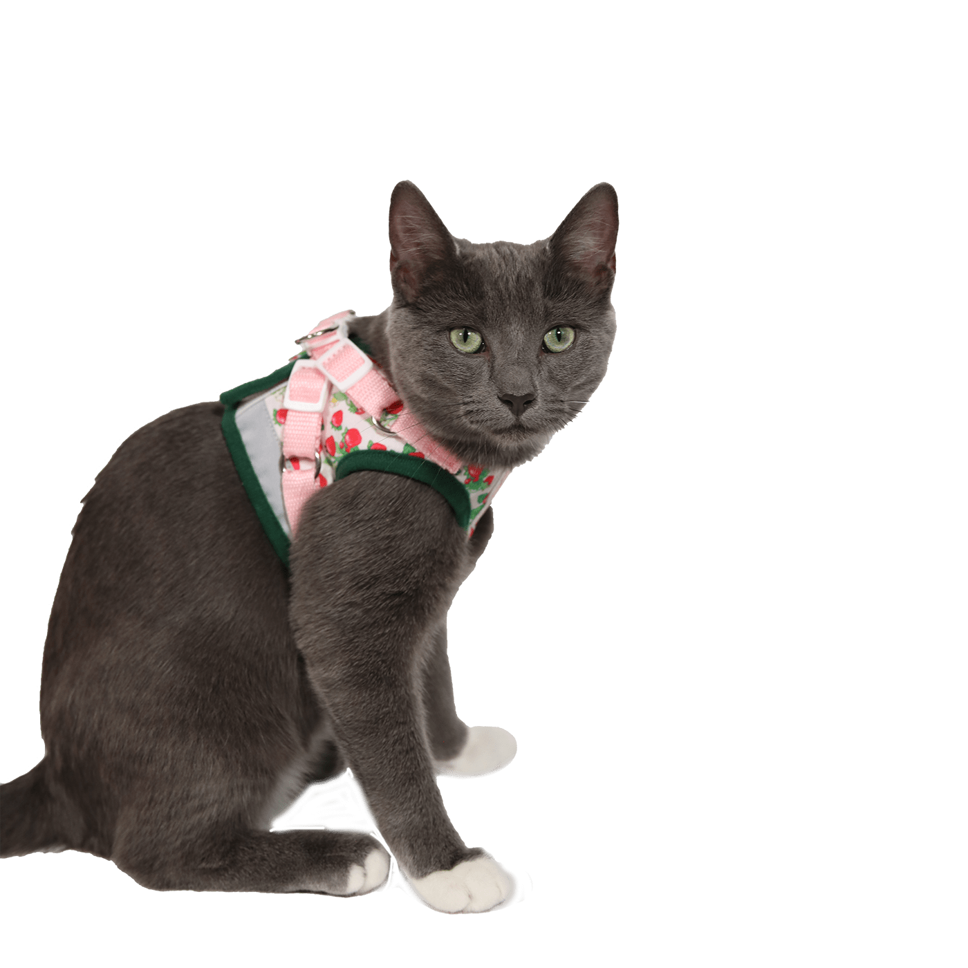 Strawberry Shortcake x Travel Cat Harness & Leash  Set