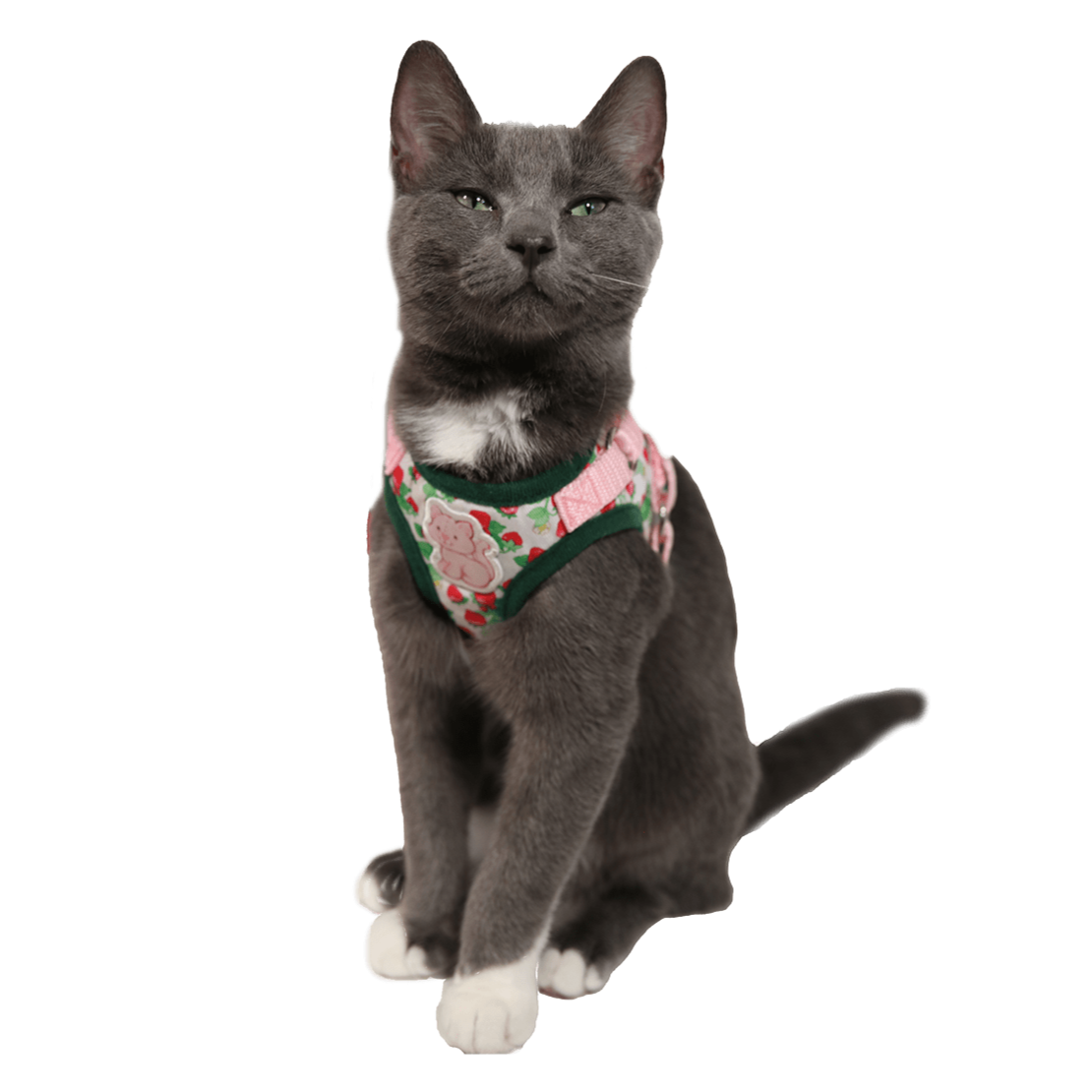 Strawberry Shortcake x Travel Cat Harness & Leash Set - Officially Licensed