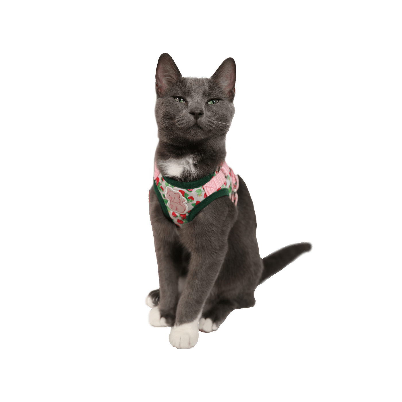 Strawberry Shortcake x Travel Cat Harness & Leash  Set