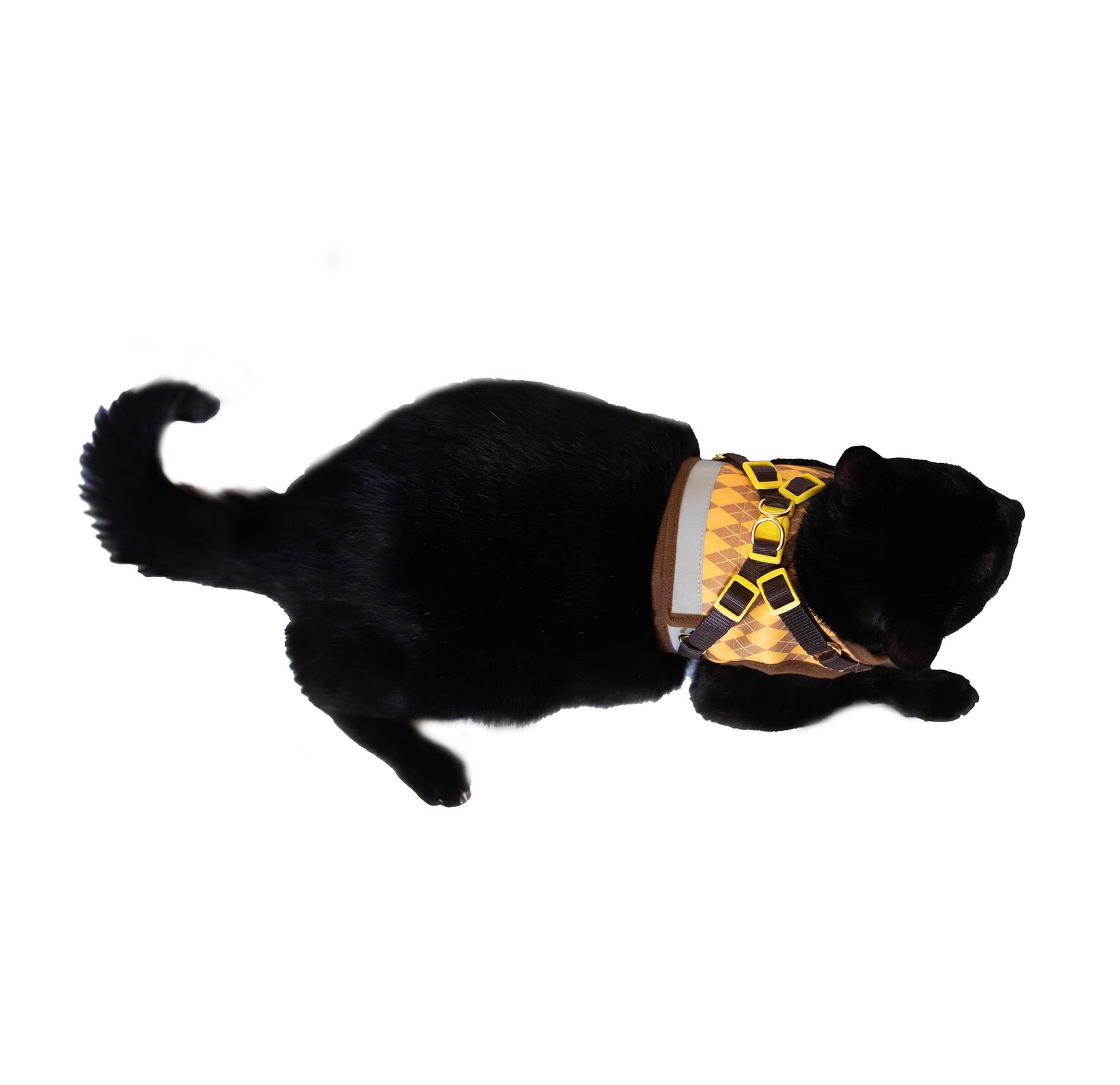 Halloween shop cat harness