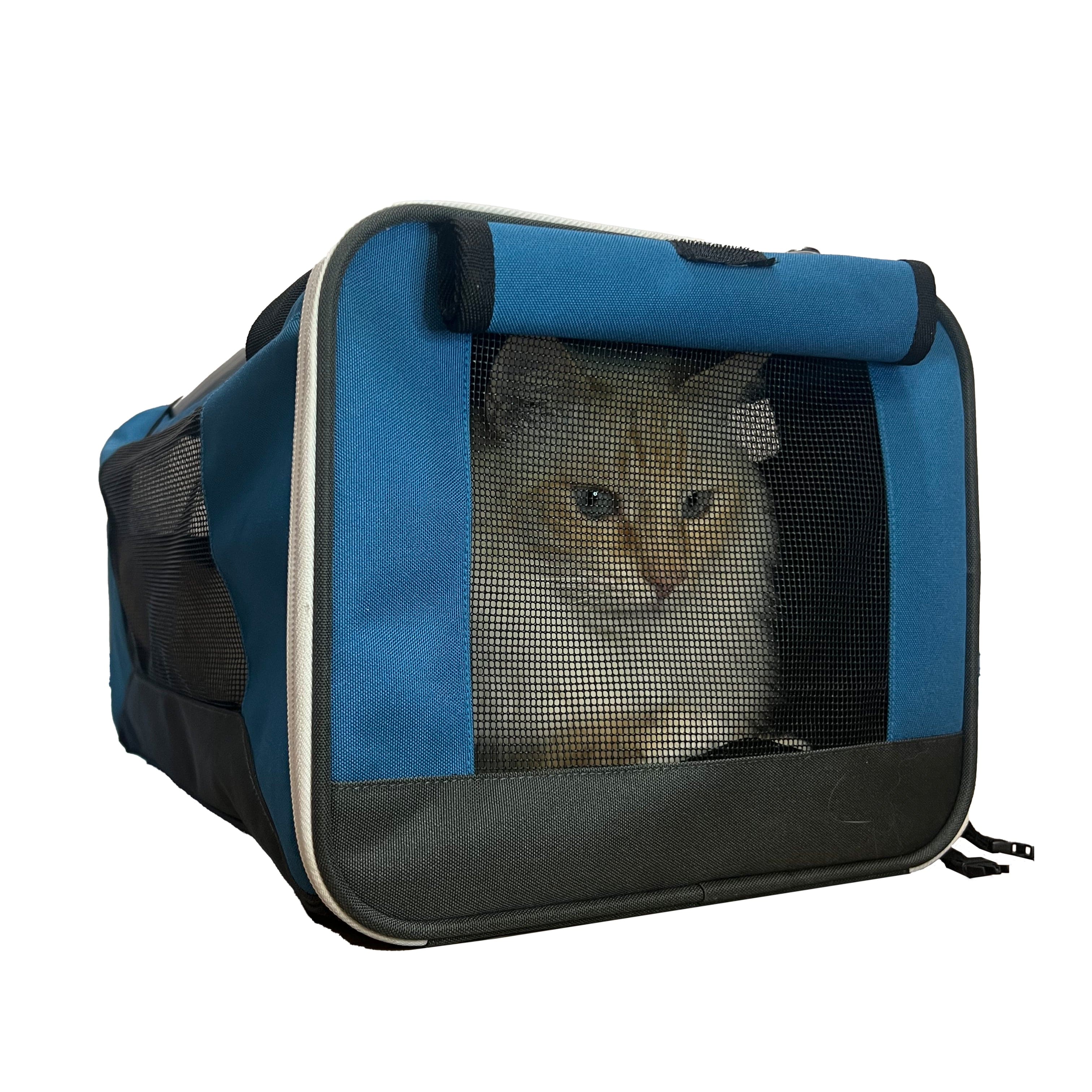 Blue cat carriers best sale