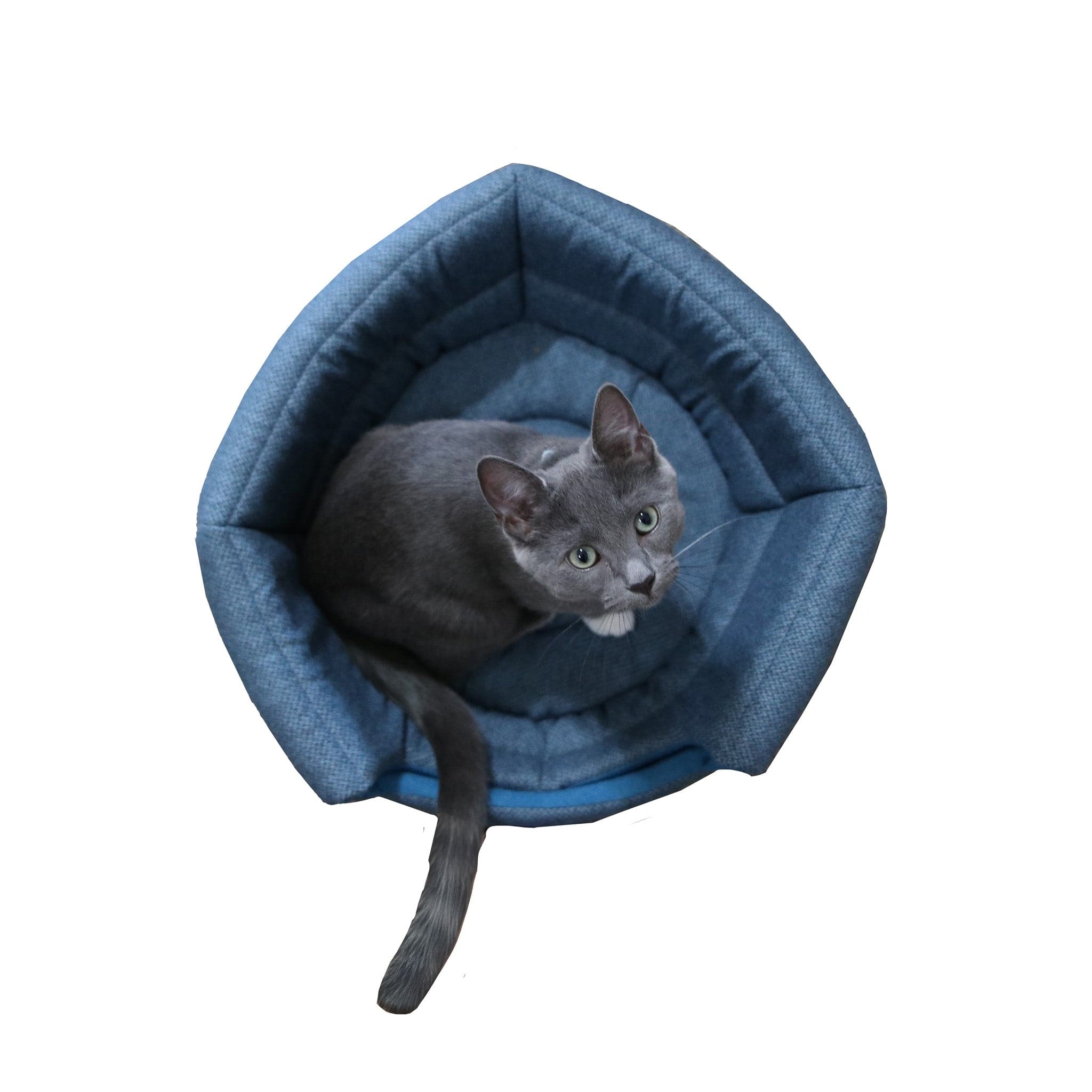 "The Meowbile Home" Convertible Cat Bed & Cave - Blue