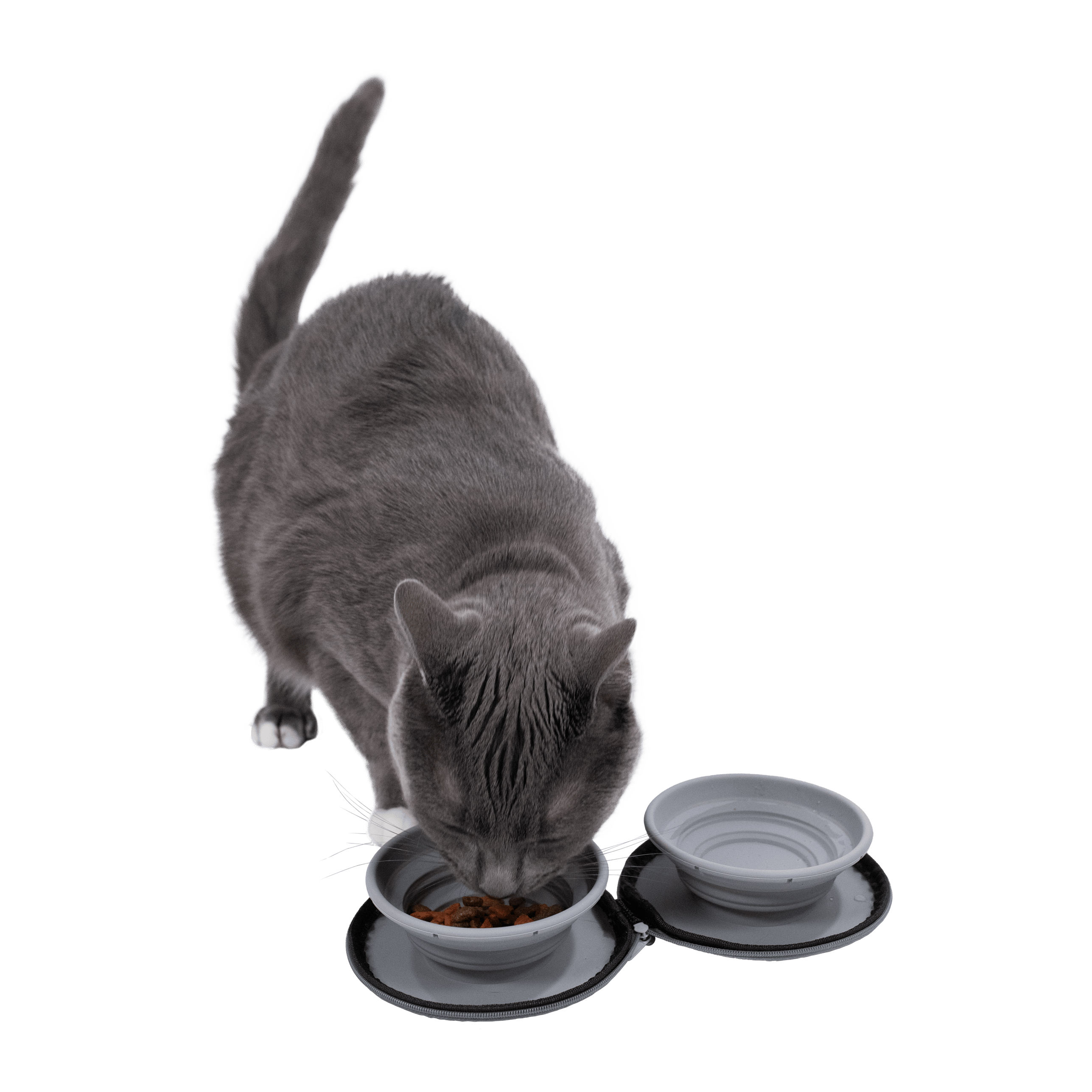 Travel Cat Double Sided Portable Zippered Bowl