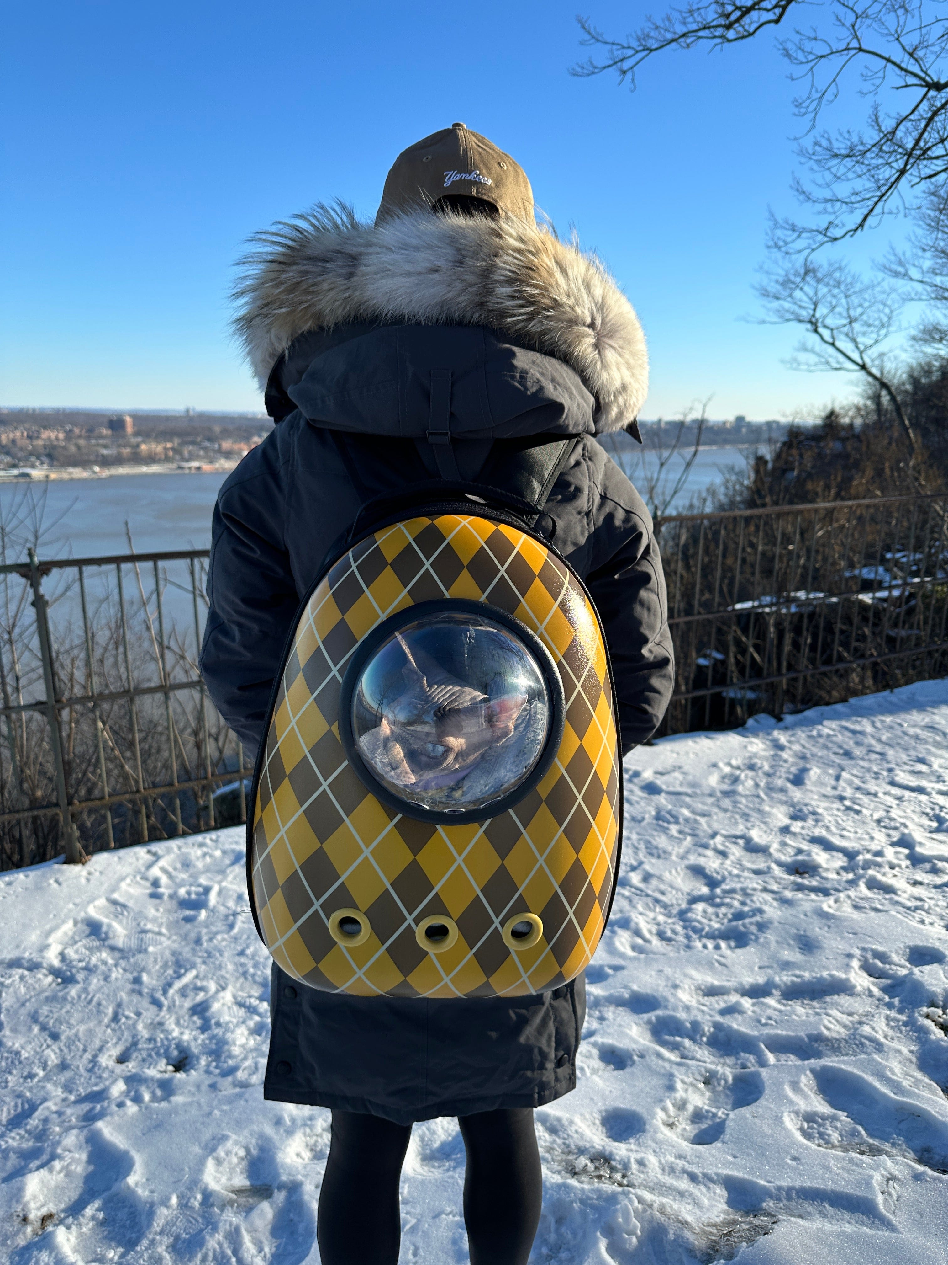 Argylle x Travel Cat Replica Cat Backpack - Officially Licensed