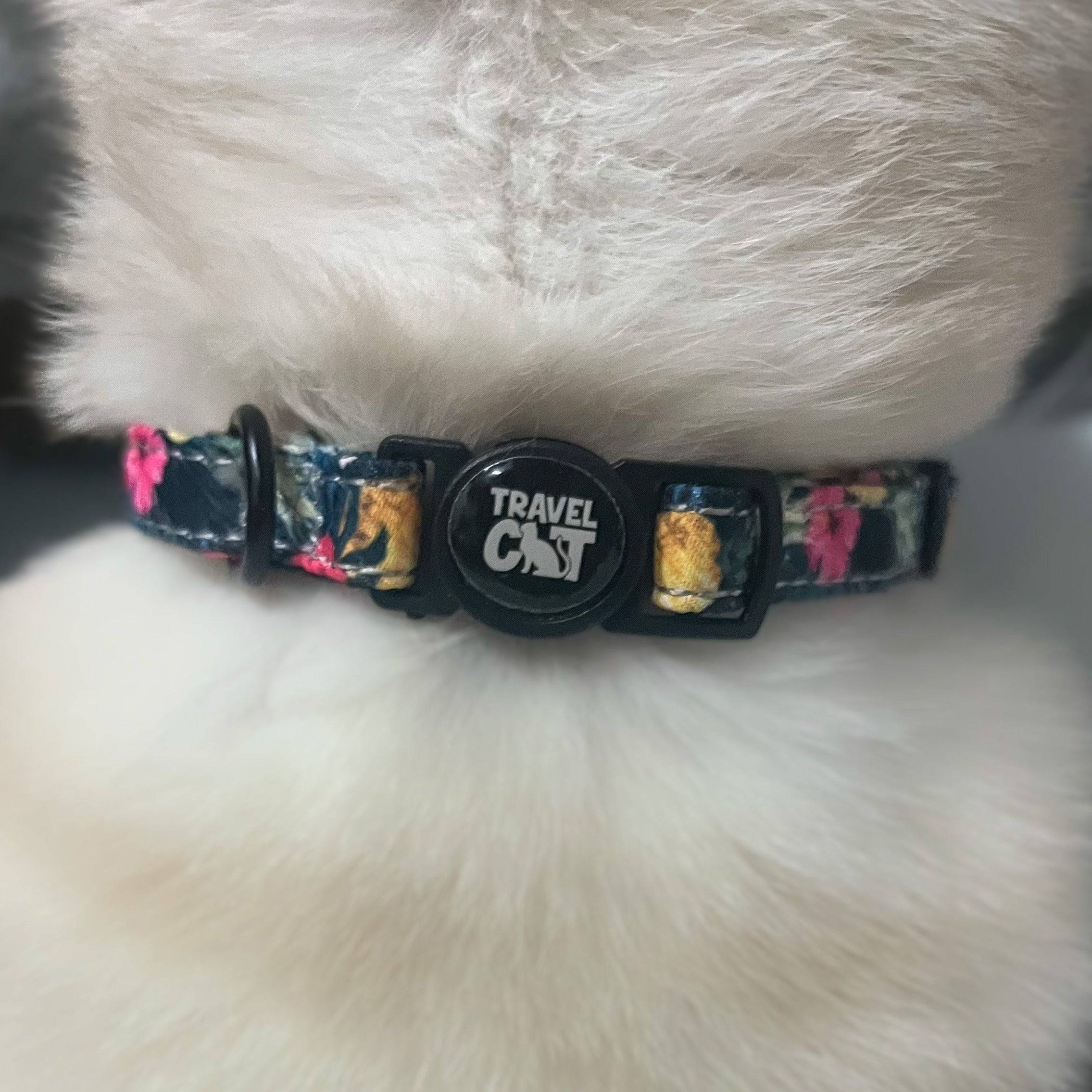 "The Hawaiian Shirt" Breakaway Cat Collar