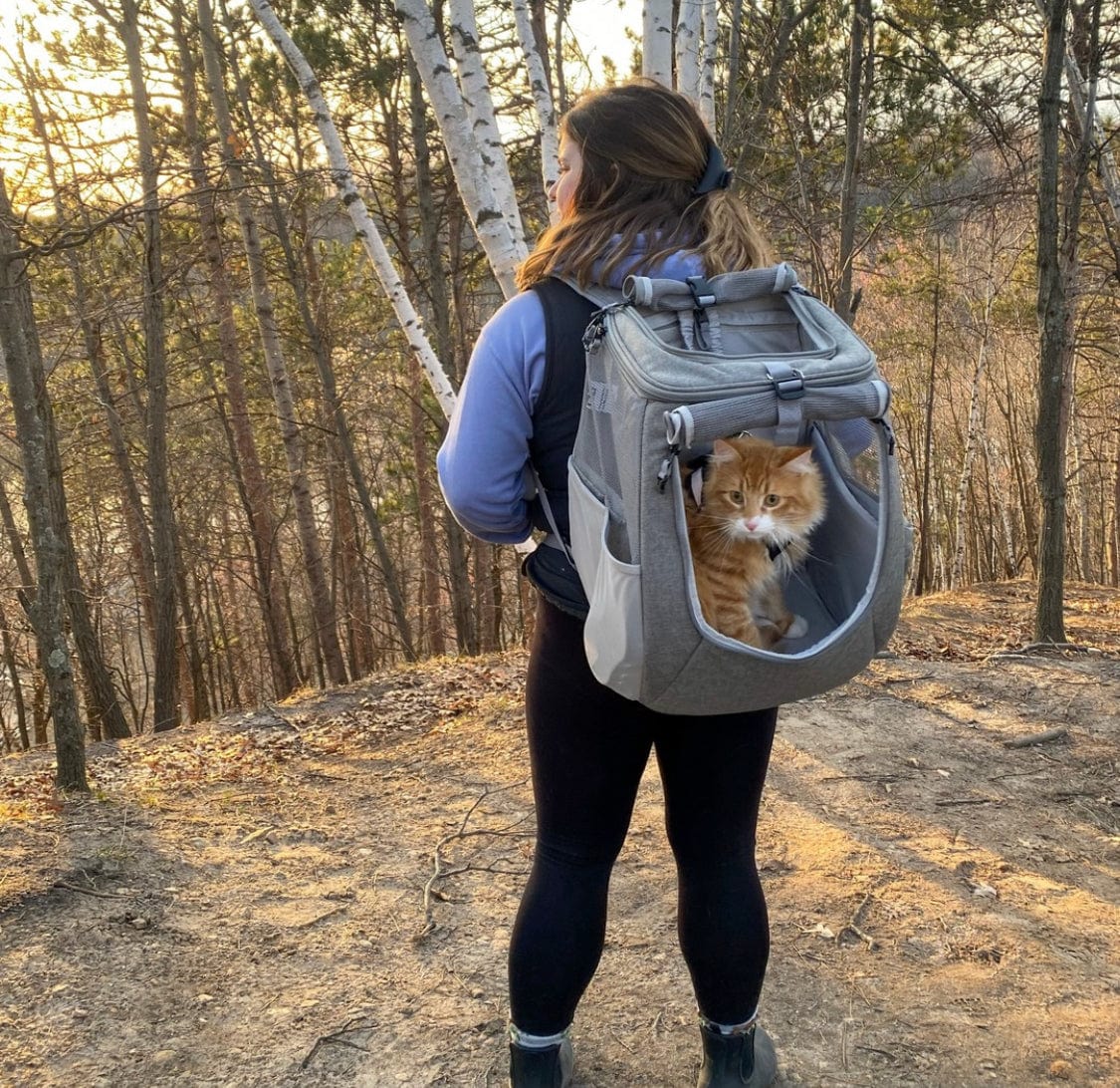 Hiking store cat backpack