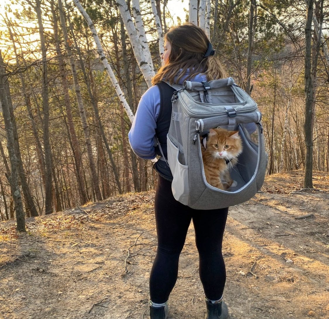 Cat Backpacks that are Carry-On Airline and Fly Compliant for Adventur
