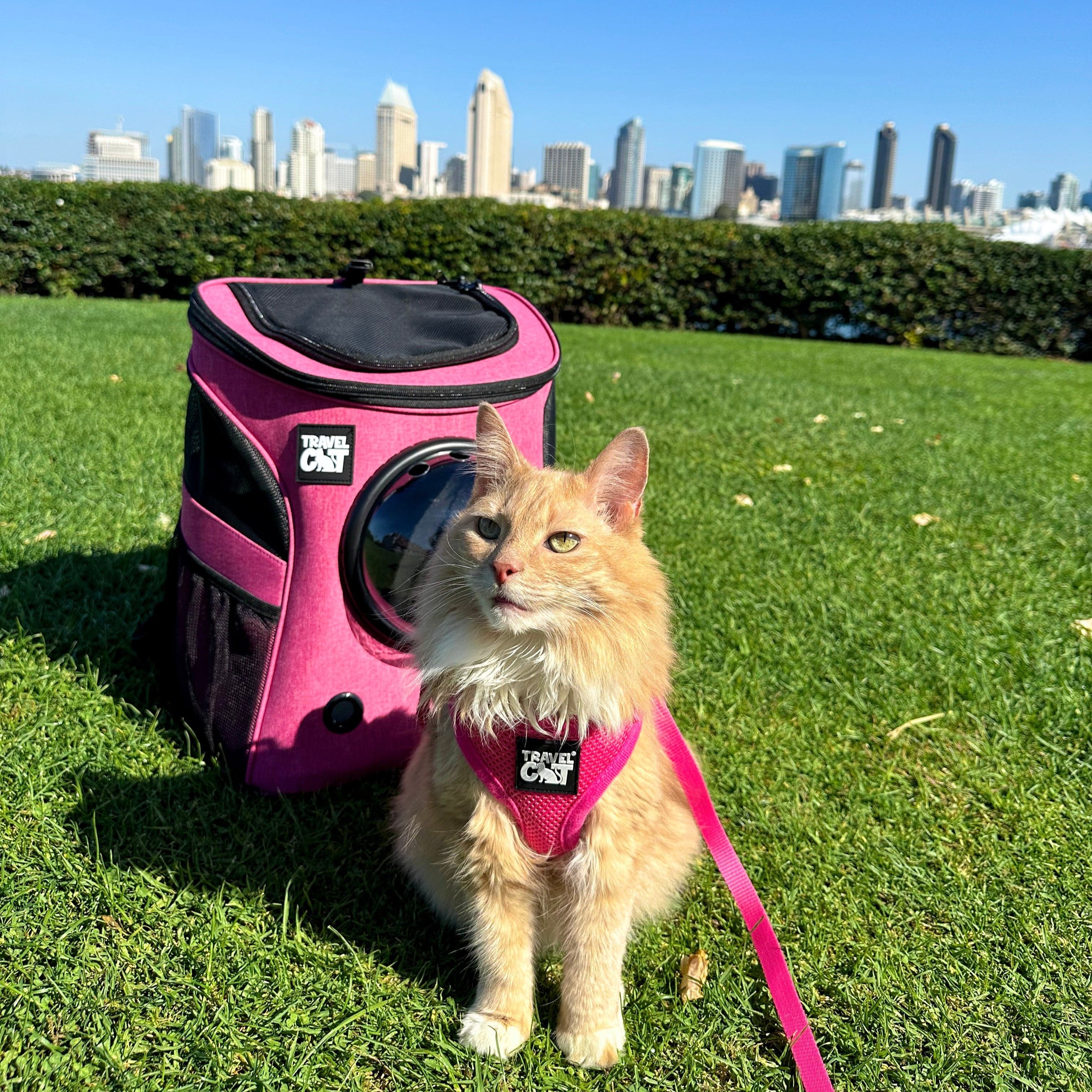 "The Fat Cat" Cat Backpack - For Larger Cats