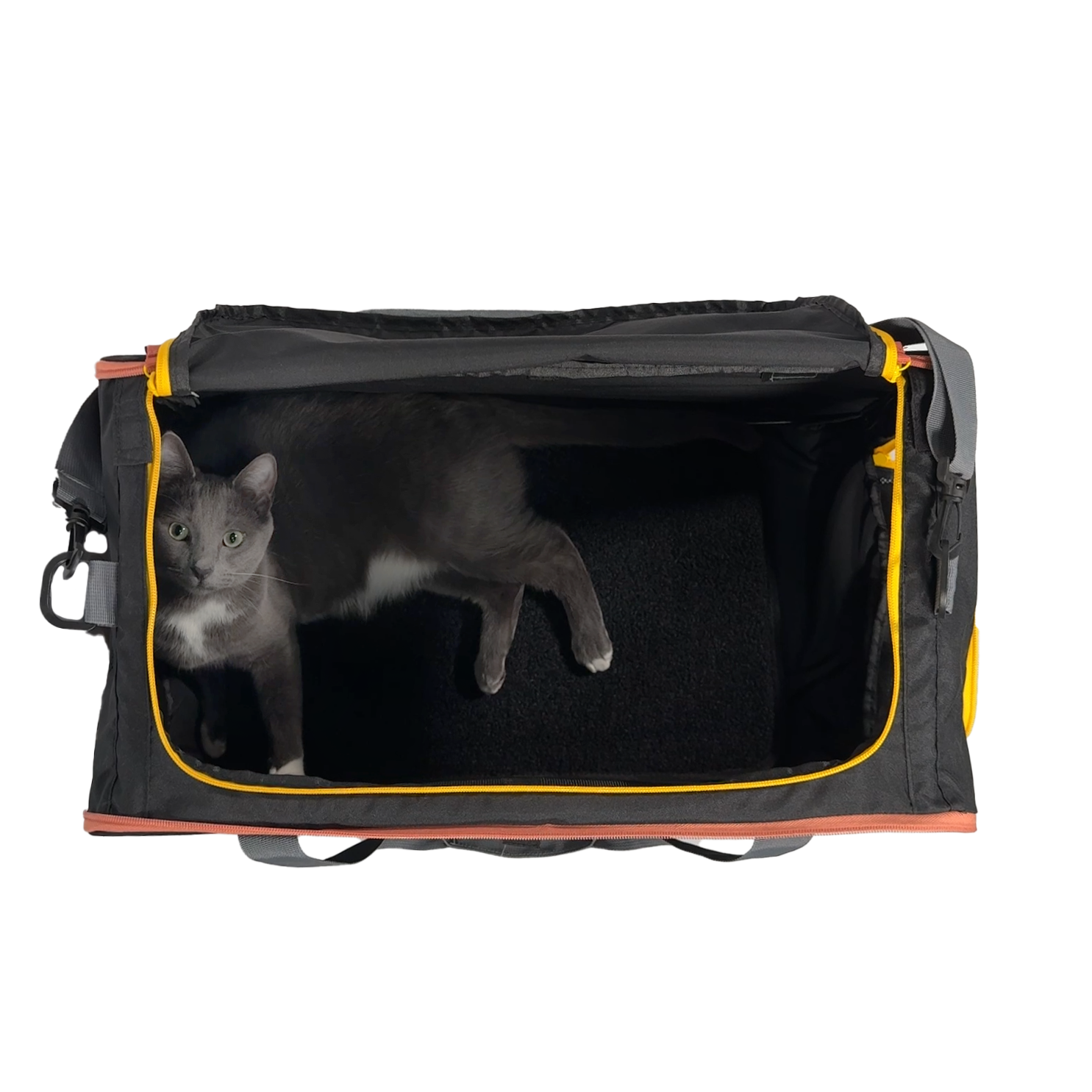 “The Pack N' Paw” Light & Slim Collapsible Cat Crate & Carrier