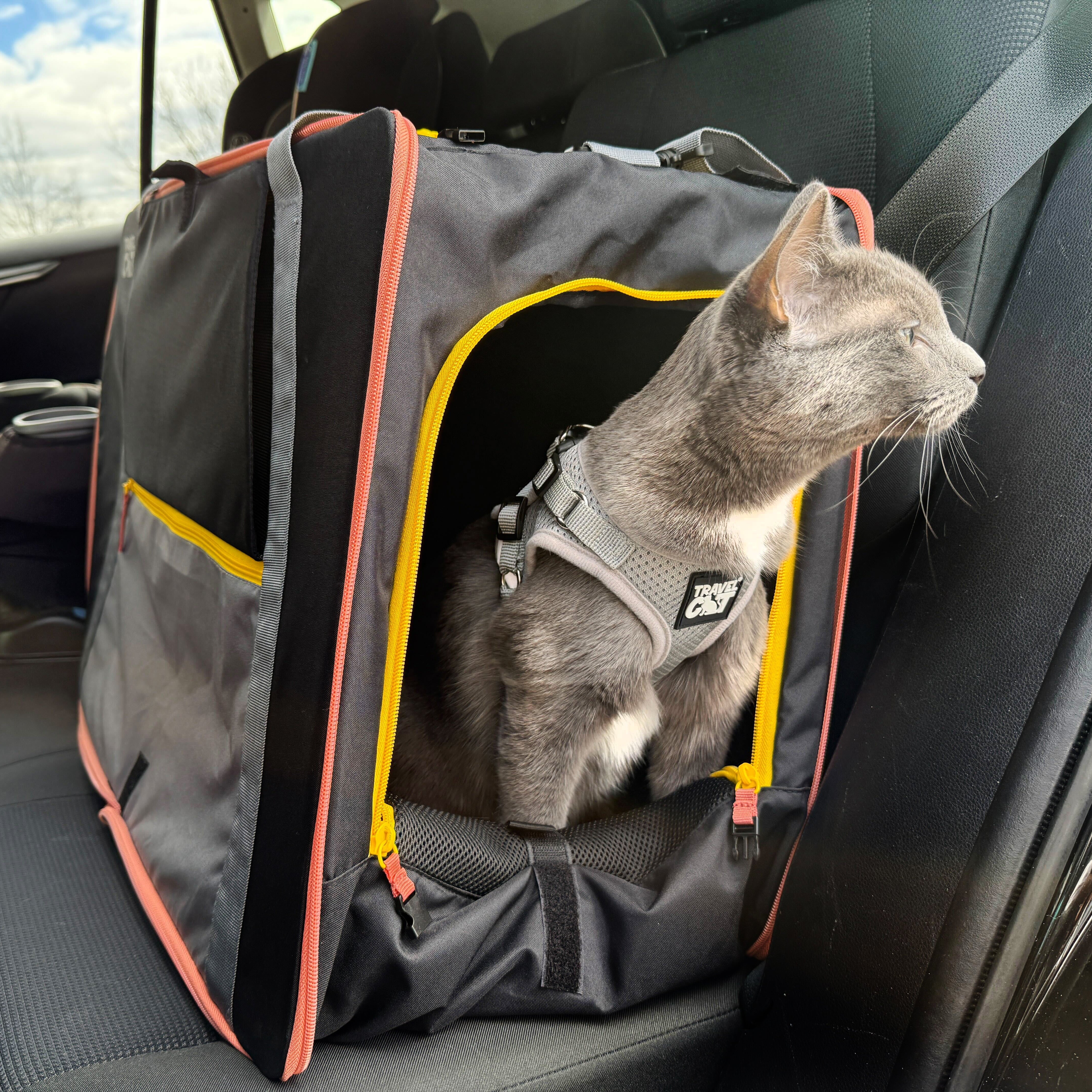 “The Pack N' Paw” Light & Slim Collapsible Cat Crate & Carrier