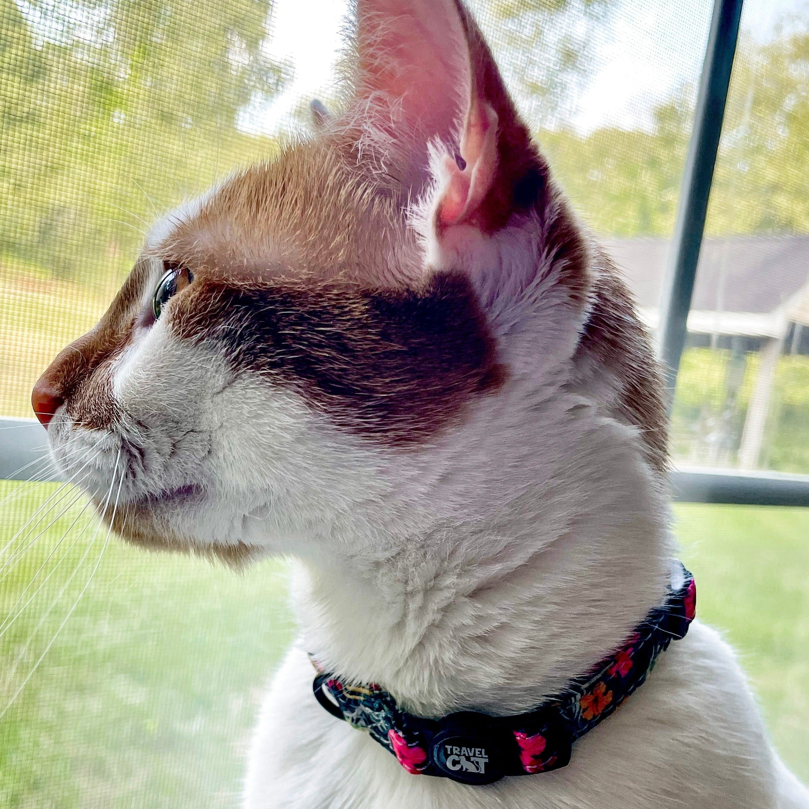 "The Hawaiian Shirt" Breakaway Cat Collar