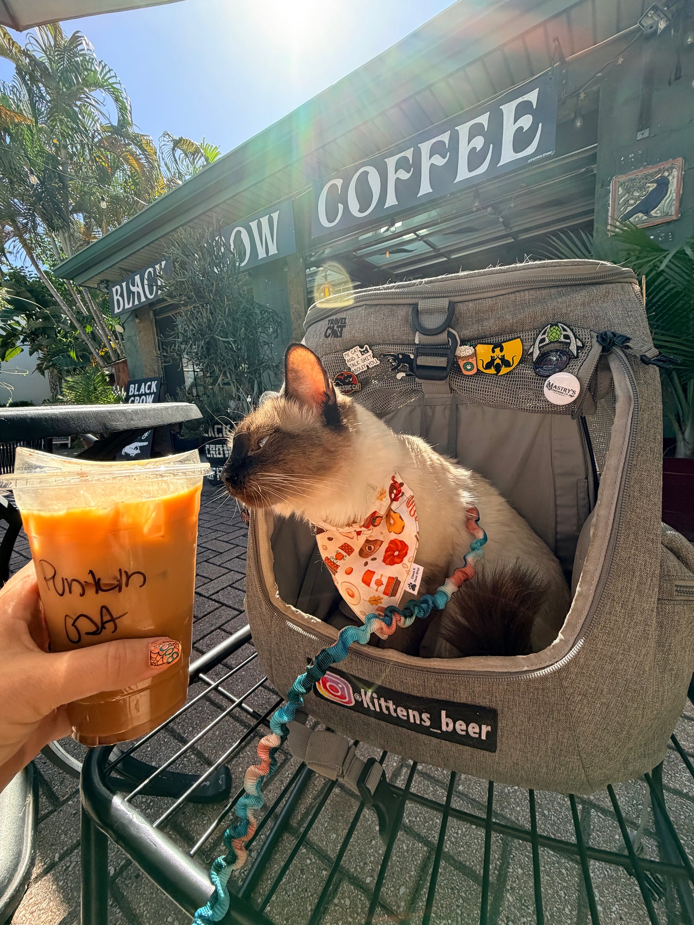 SHARING DRINKS