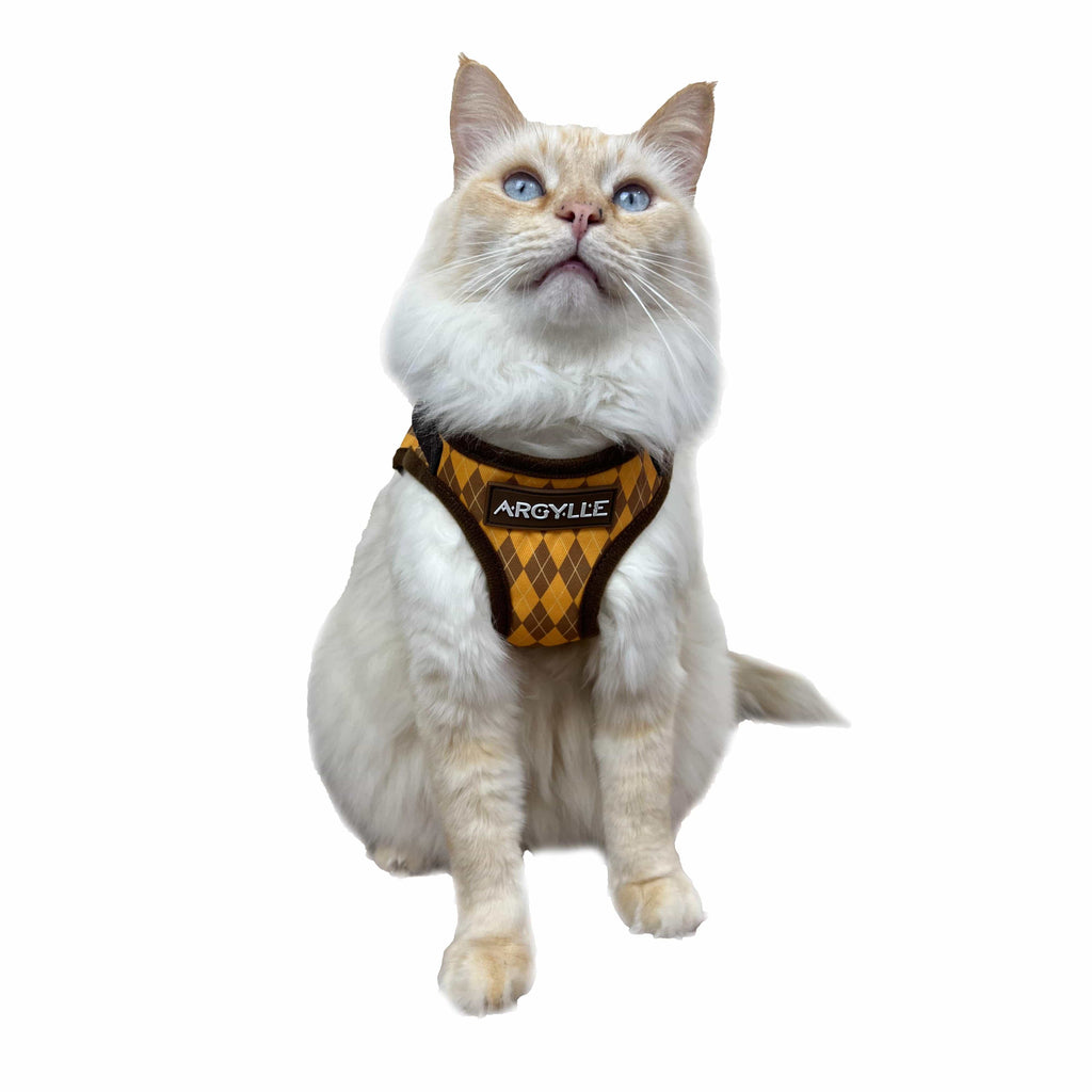 Argylle x Travel Cat Harness & Leash - Officially Licensed Yellow / M / Your Cat Backpack