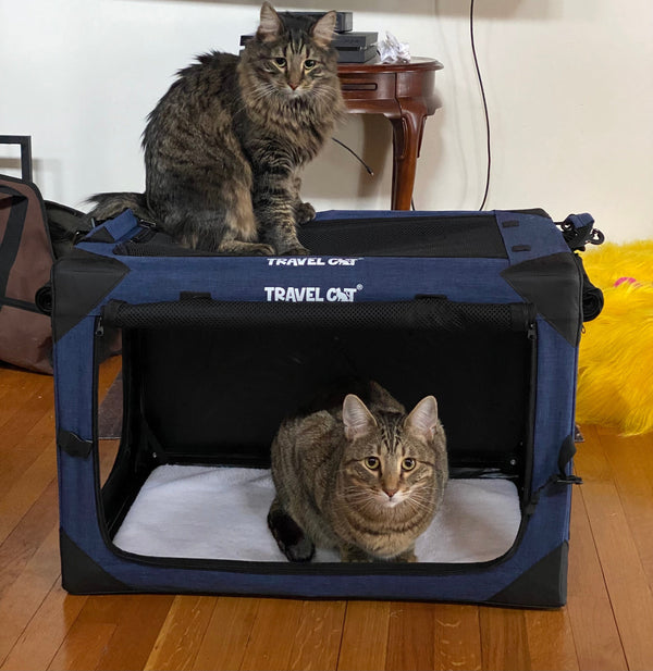 "The Boop Coop" Collapsible Travel Cat Crate & Carrier