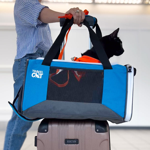 The Best Cat Backpack Carriers to Travel With Your Cat