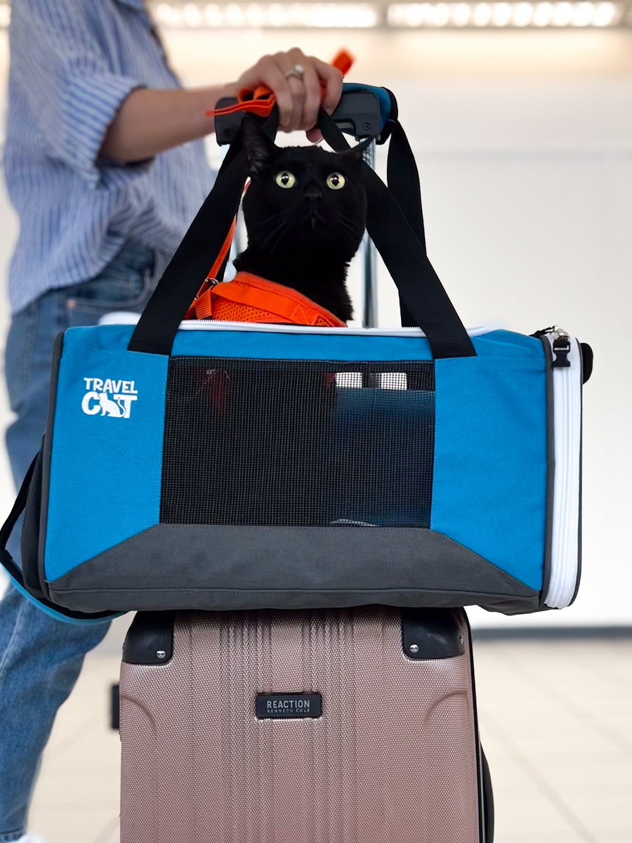 The Best Cat Carriers to Travel With Your Cat